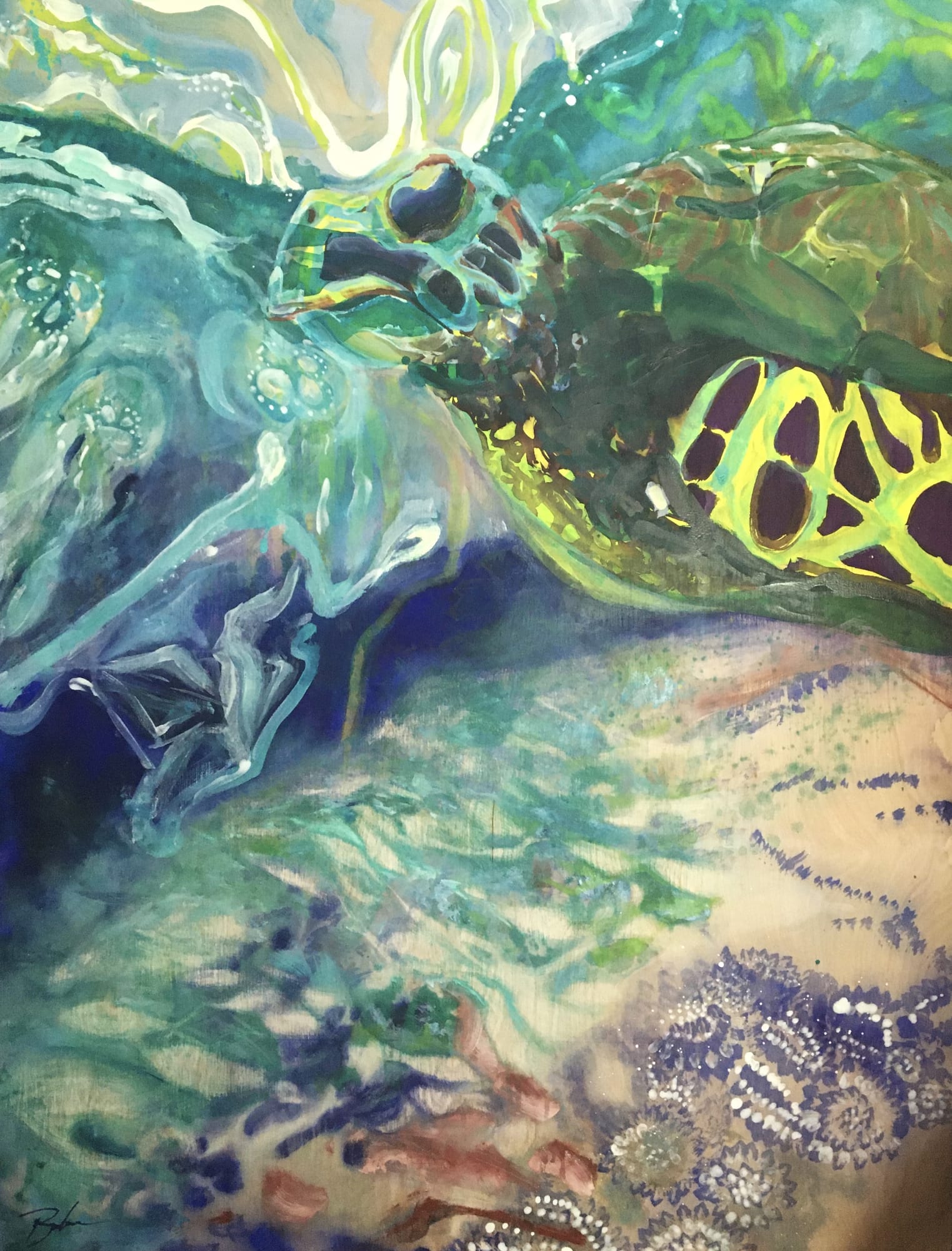 Krisanne Baker, Reef Guardians Loggerhead Sea Turtle