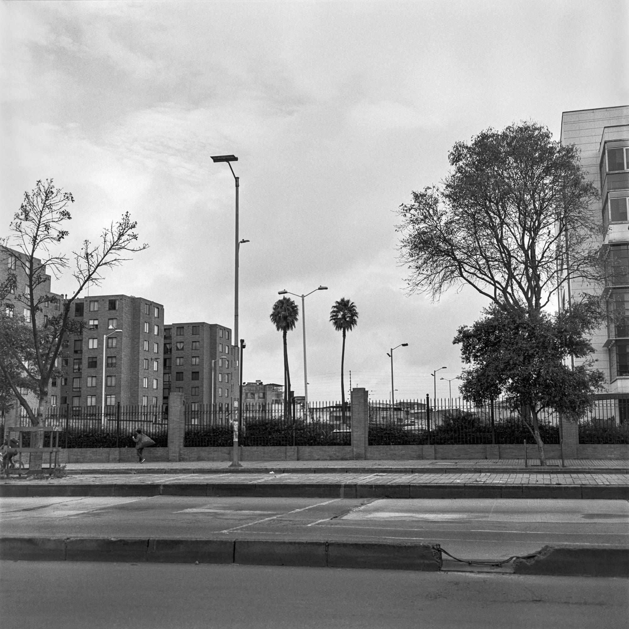 Beatriz Grau, La Caracas VIII, 2023