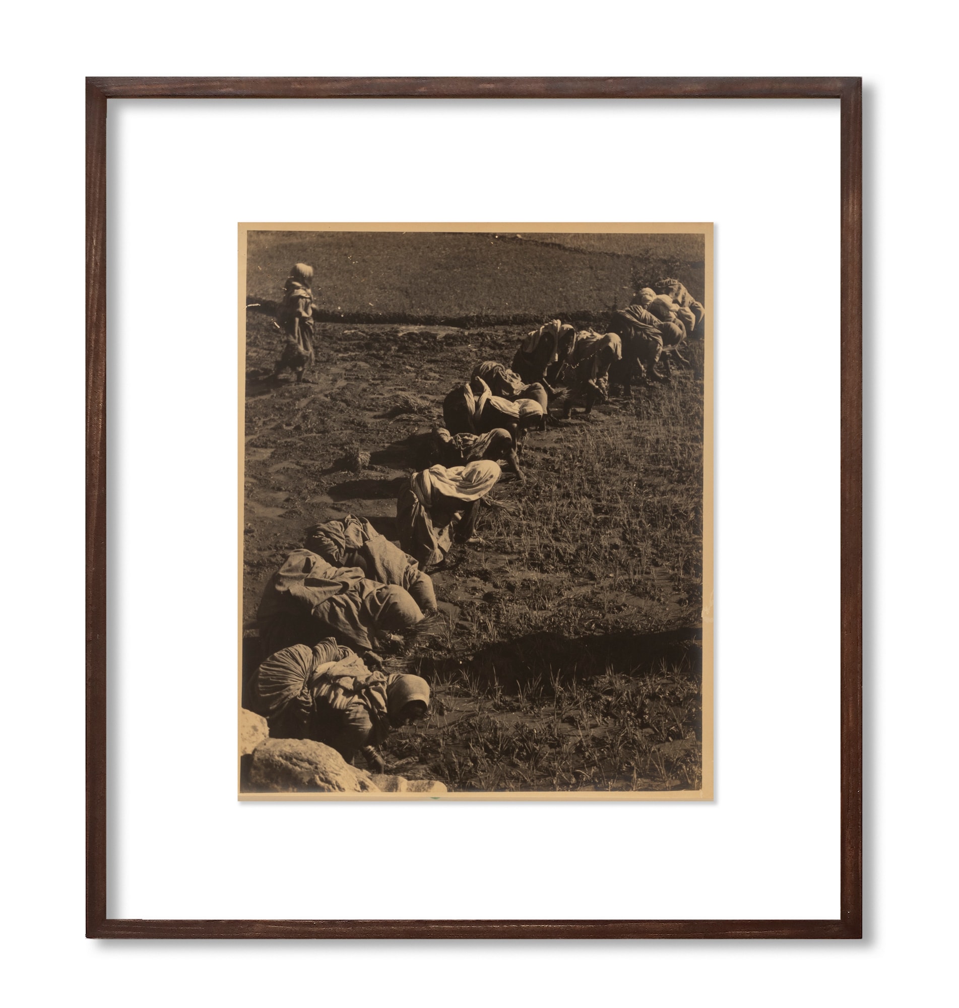 Lalit Mohan Sen, Harvest Season, c.1940s - 50s