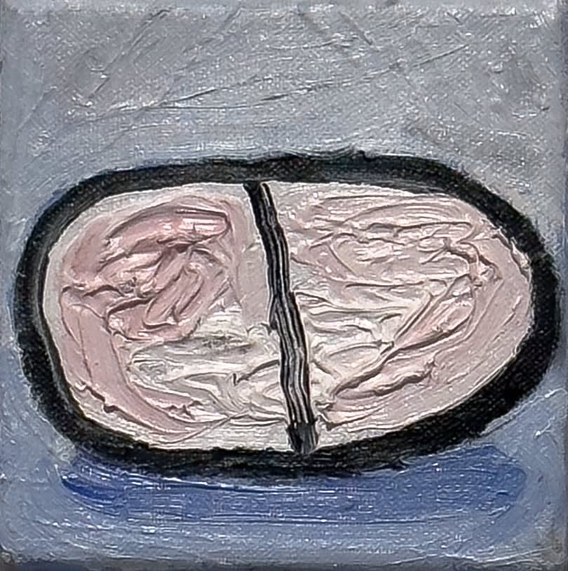 Nina Vandeweghe, Pill I., 2023