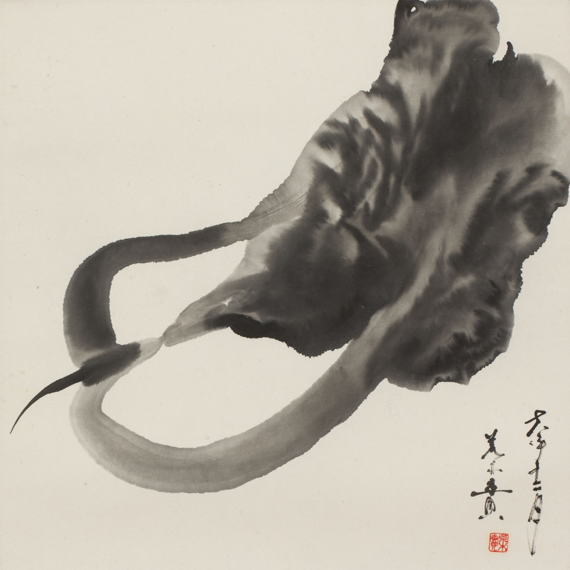 Minol Araki, Chinese Cabbage, 1978