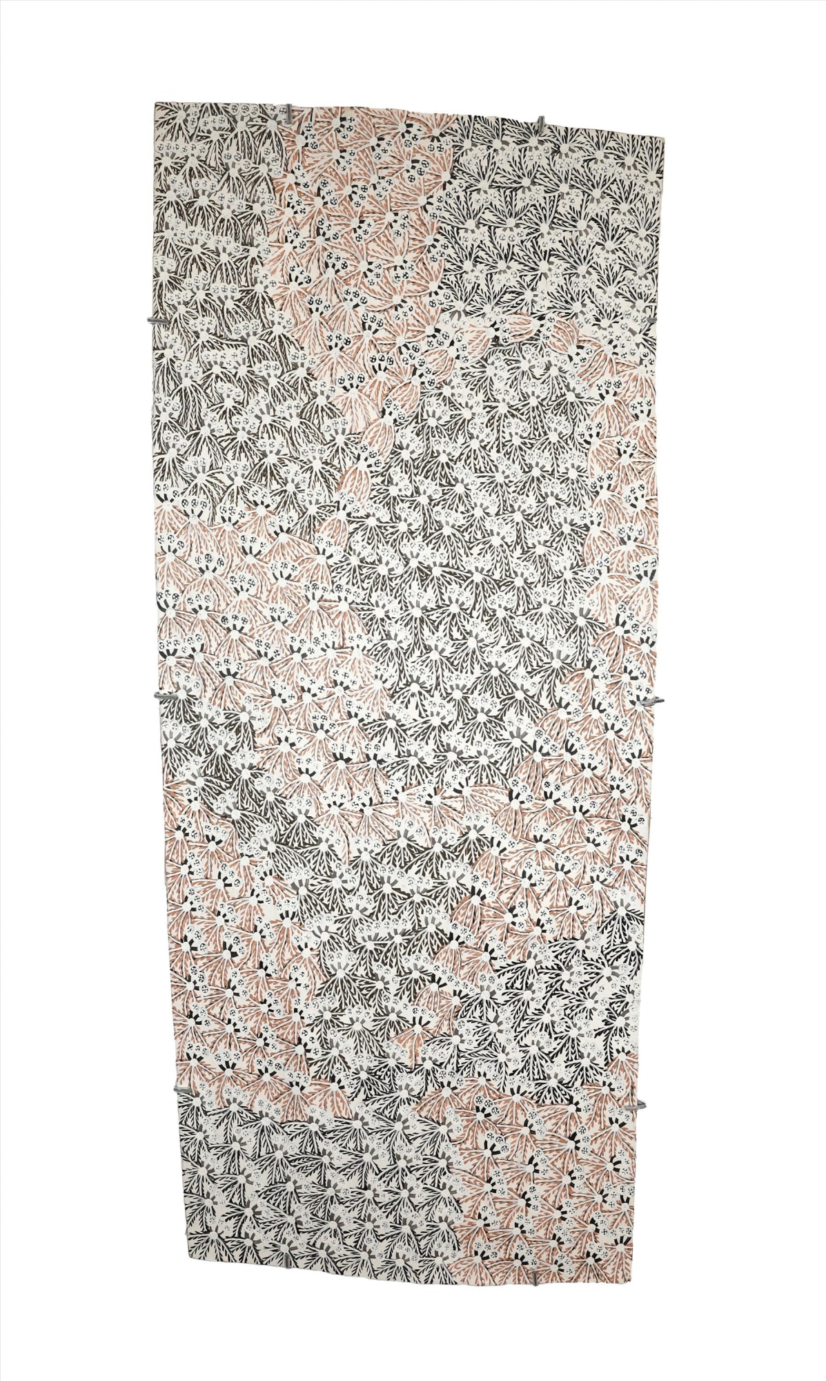 Muluymuluy Wirrpanda, Buḻwutja, 2025