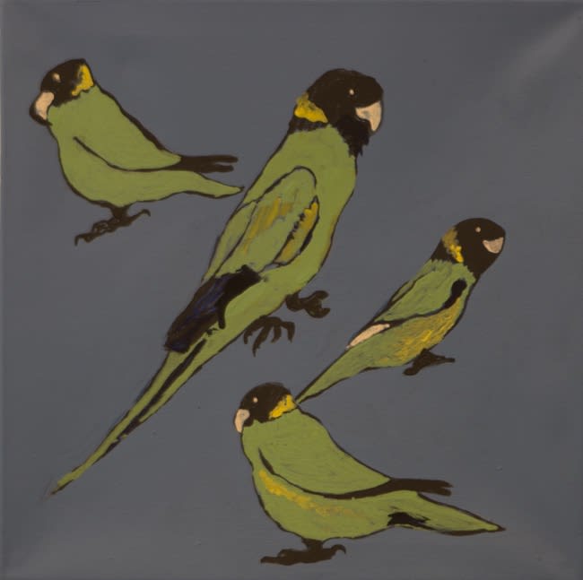 Jeffrey Lewis, Partilpa (Port Lincoln Ring Neck Parrott), 2020