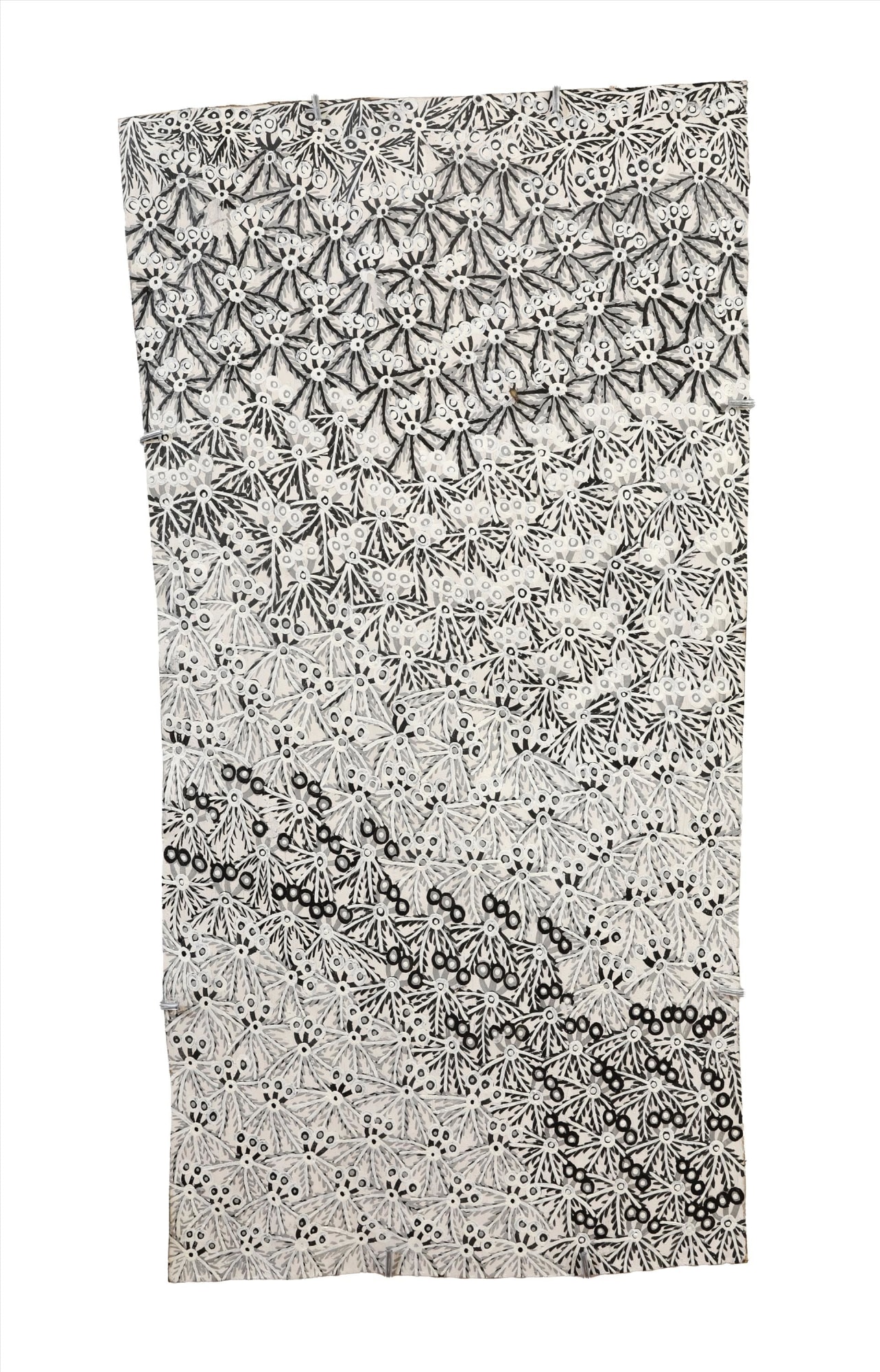 Muluymuluy Wirrpanda, Buḻwutja, 2025