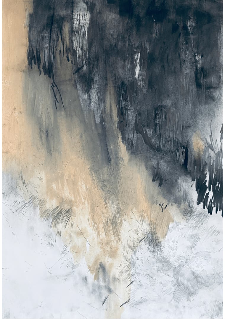 Mansy Stéphanie, Salve(s) brune(s), numéro 1, 2023