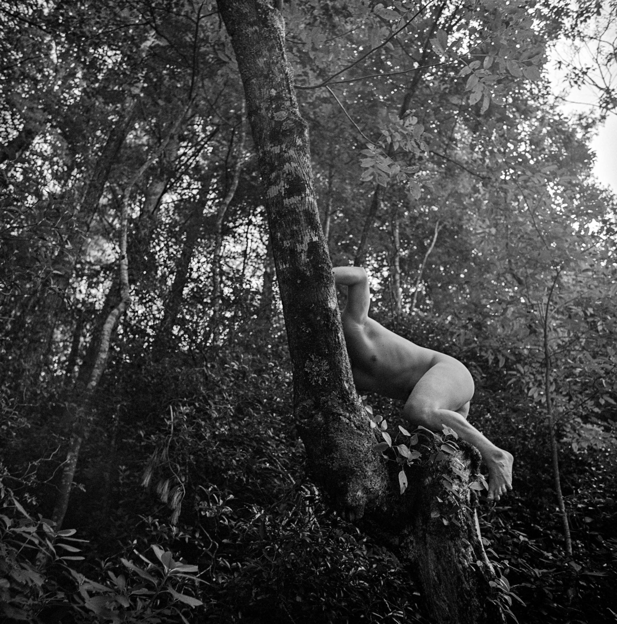 Christopher Lowell, Thirty-One Days 56