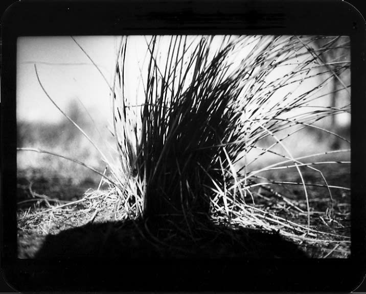 Giacomo Brunelli, Untitled (Shadow #21), 2013