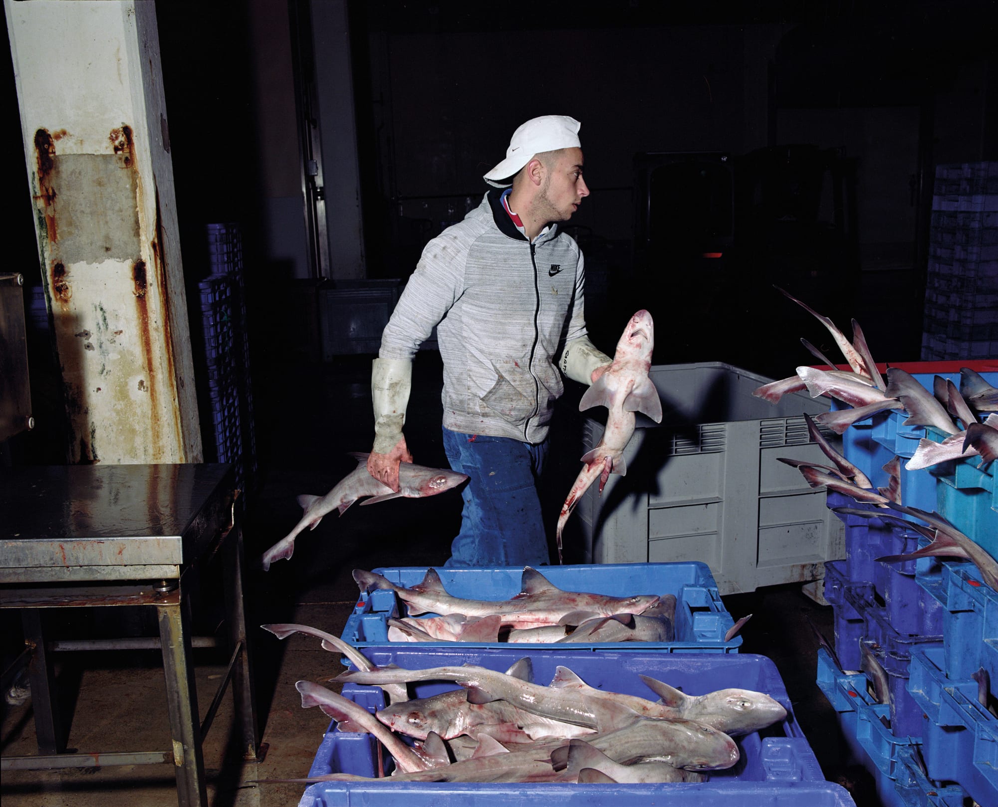 Mark Neville, Parade #23, 2019