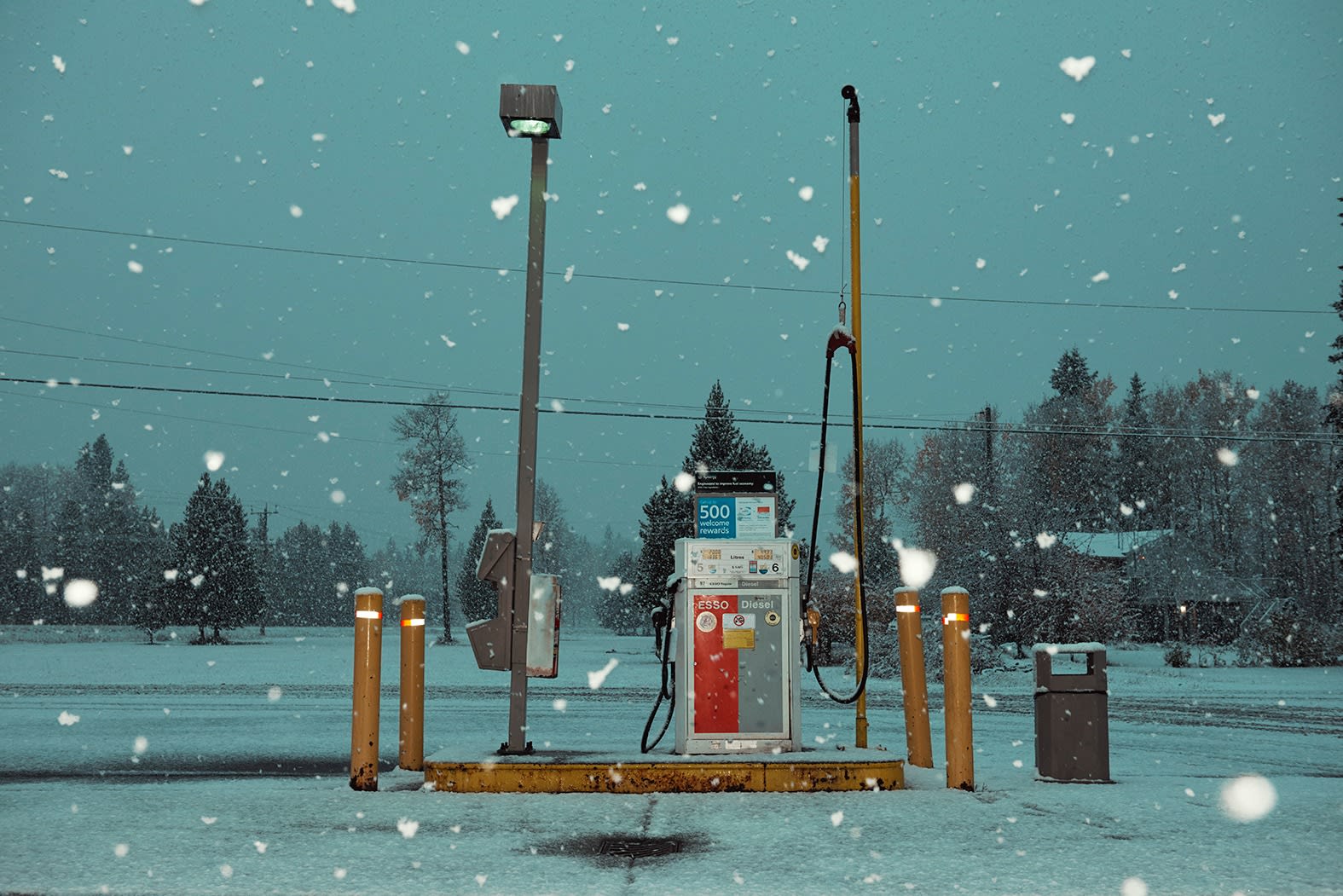 Kourtney ROY, First snowfall, 2017