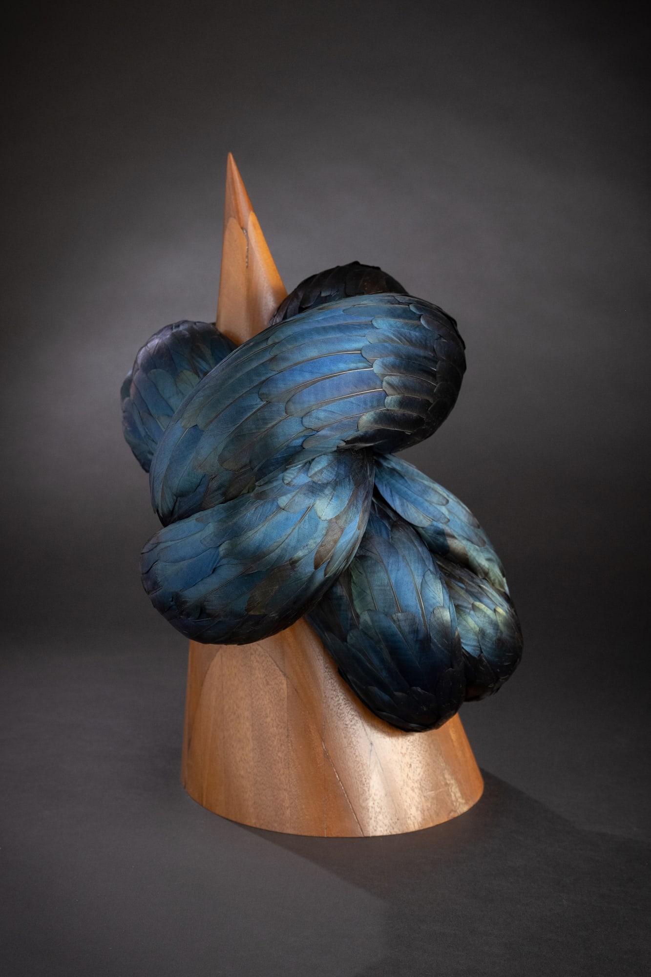 Kate MccGwire, PINION, 2025