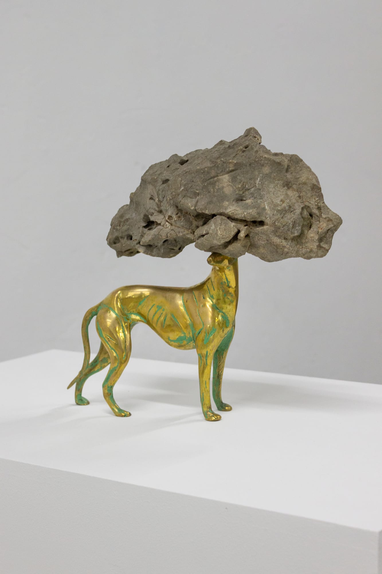 Léo Fourdrinier, The oblivion of our metamorphoses, 2022