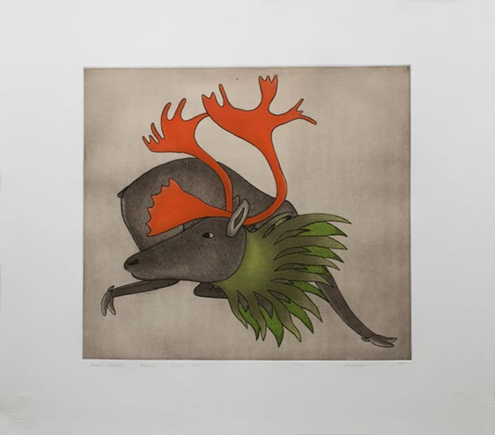 QAVAVAU MANUMIE (1958 -) KINNGAIT (CAPE DORSET) Spring Caribou, 1995 #13 etching and aquatint, 24 x 27 in (61 x 68.6 cm)