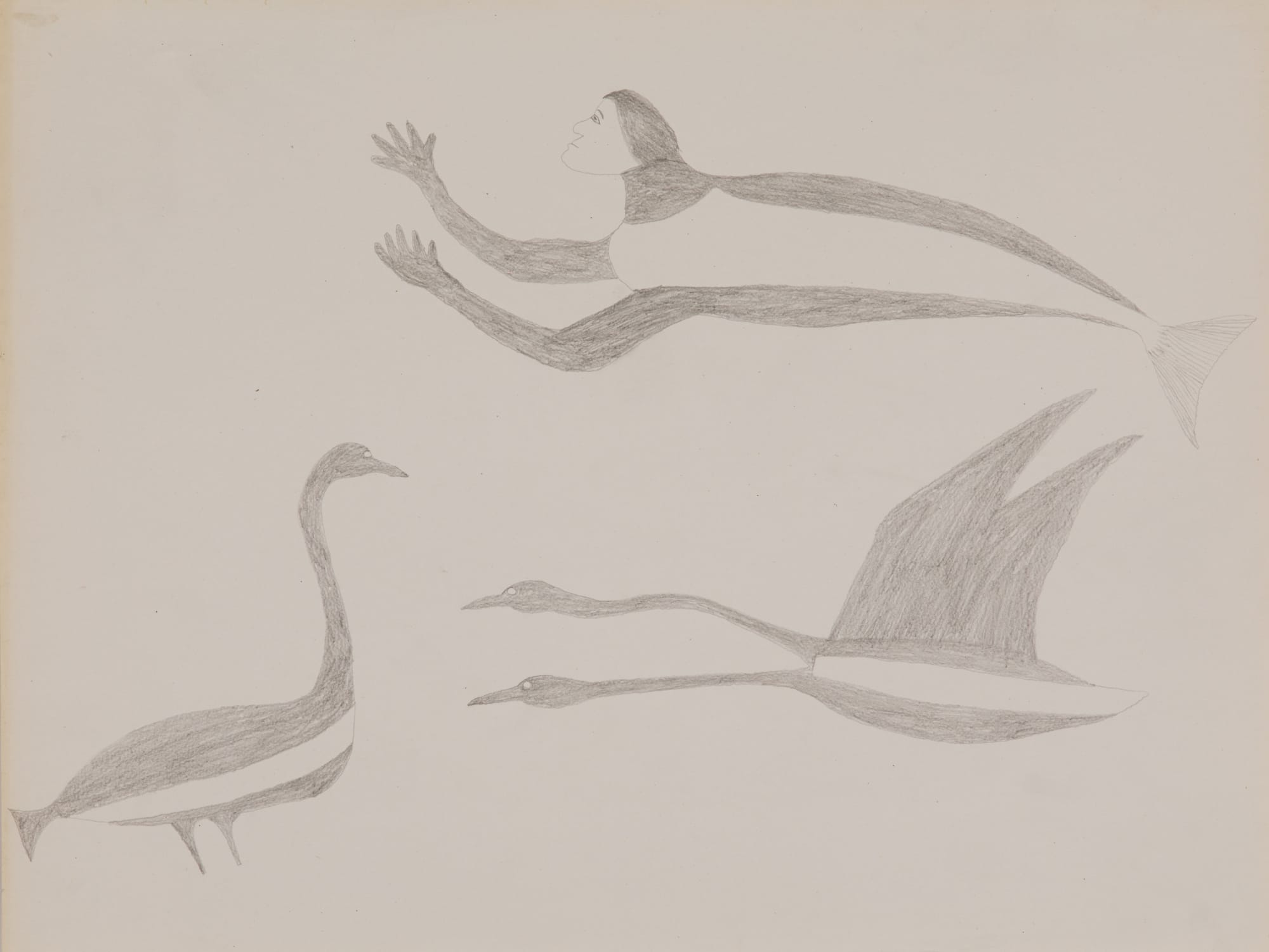 SHEOUAK PETAULASSIE (1918-1961) KINNGAIT (CAPE DORSET) Sea Goddess with Birds, c. 1958-60 graphite on paper wove paper, 16.5 x 21 in (41.9 x 53.3 cm)