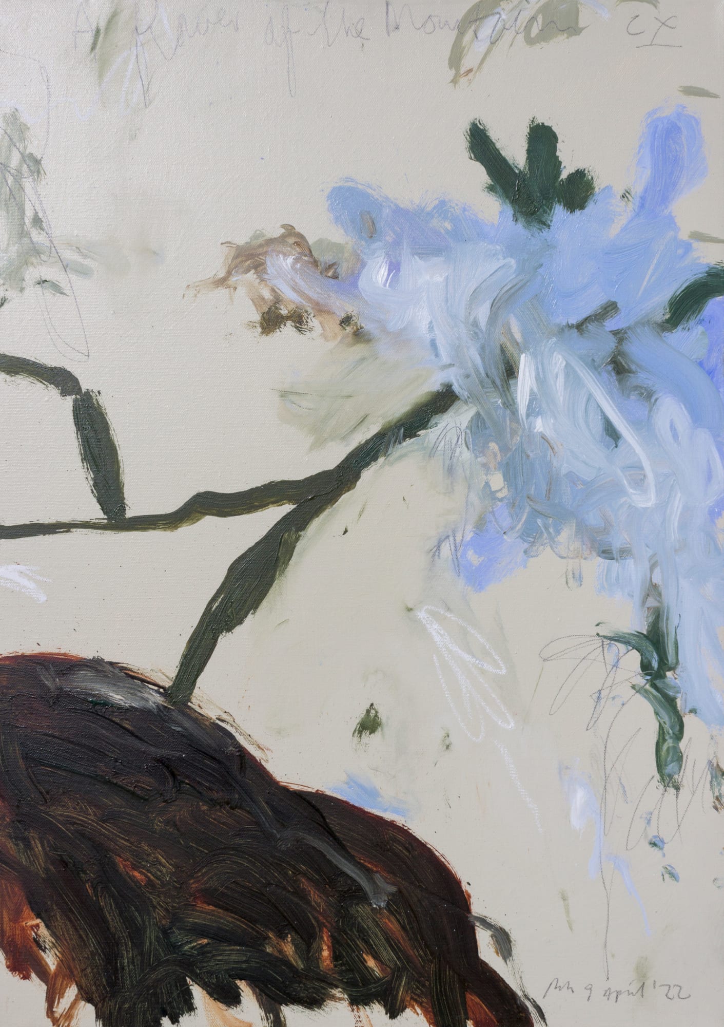 Philip Maltman, A Flower of the mountain CX (110), 2022