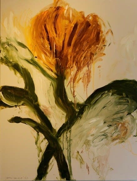 Philip Maltman, October petals, 2022