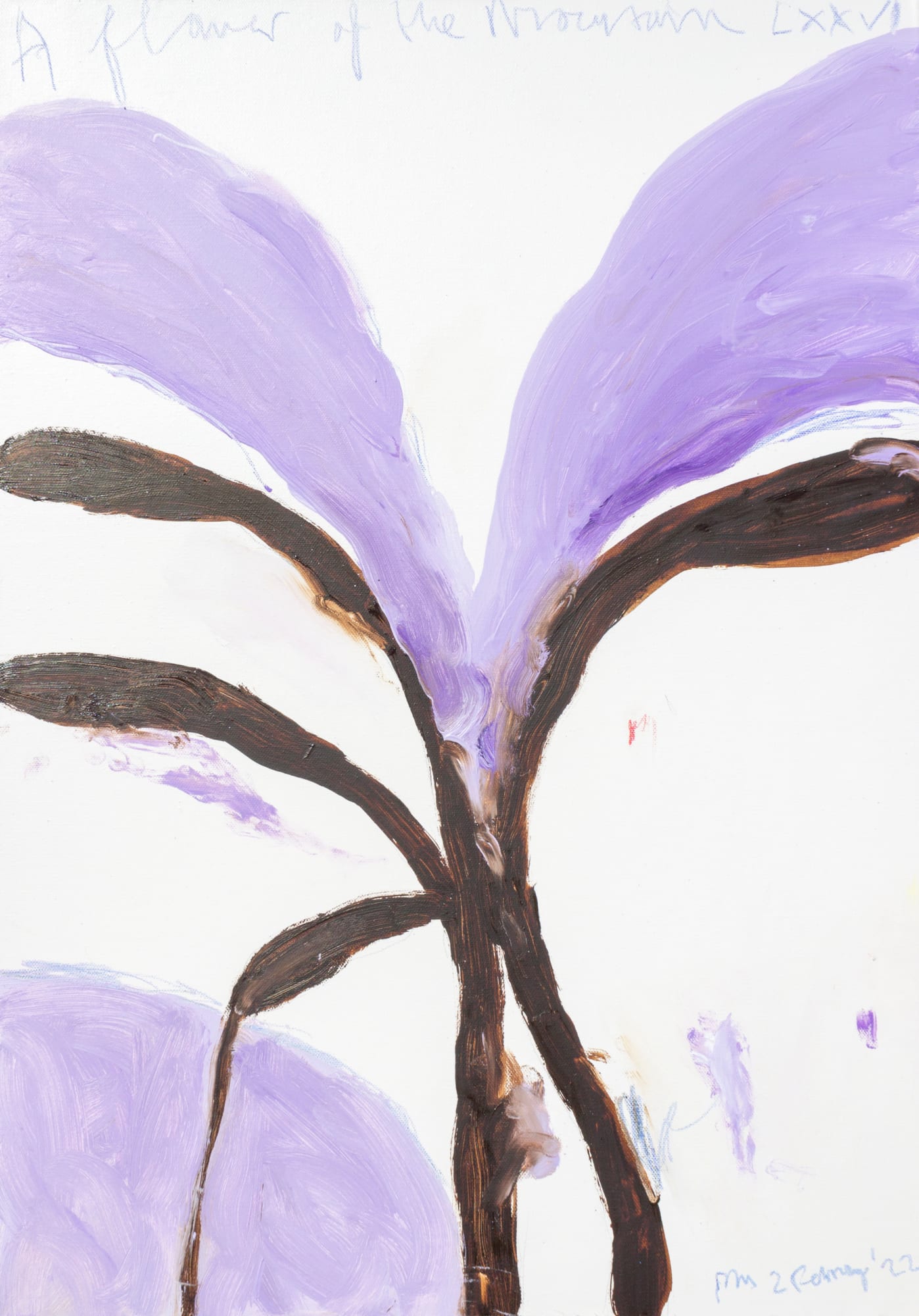 Philip Maltman, A Flower of the mountain LXXVI, 2022