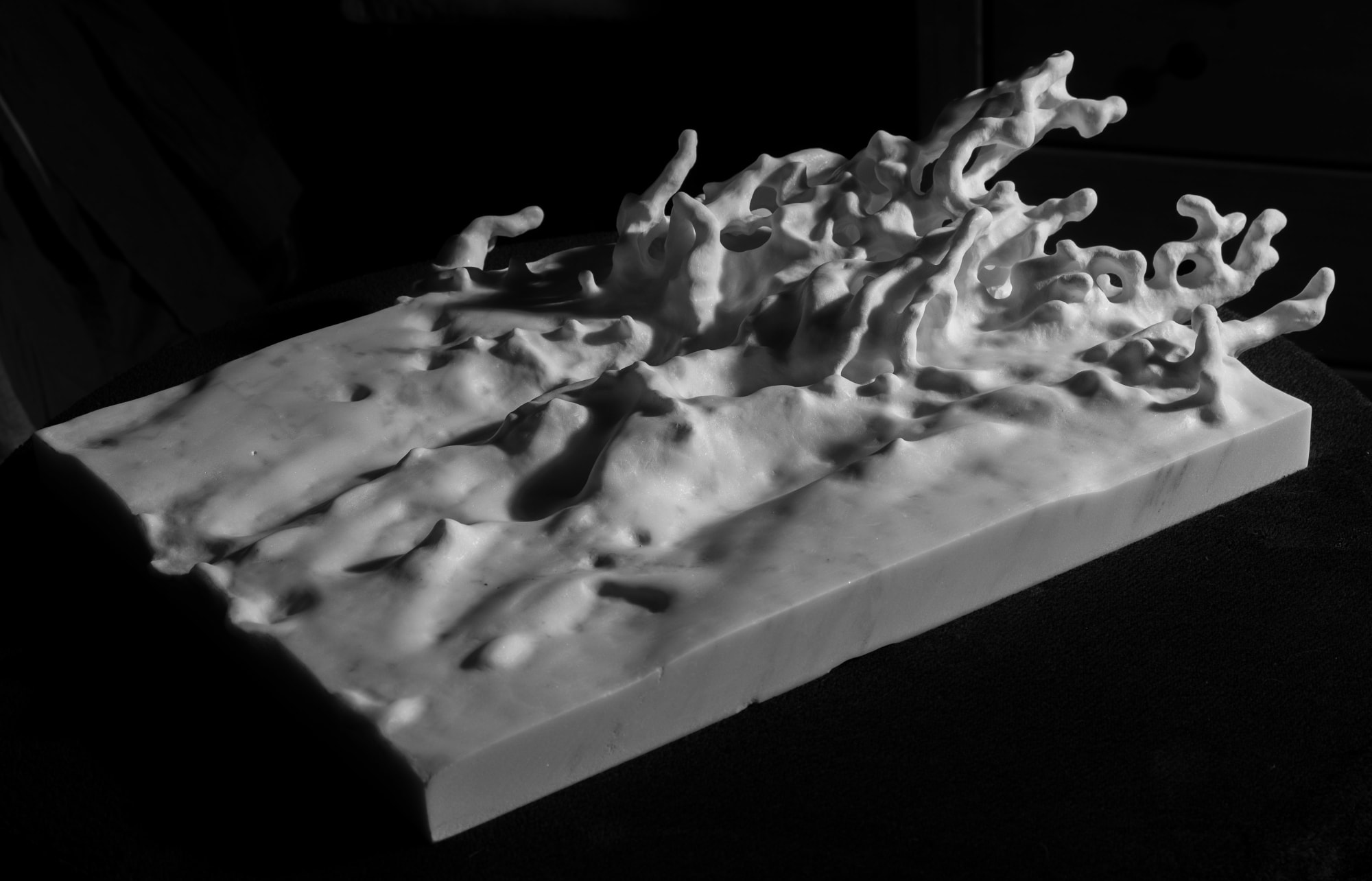 Steve Atkinson, Froth, 2019