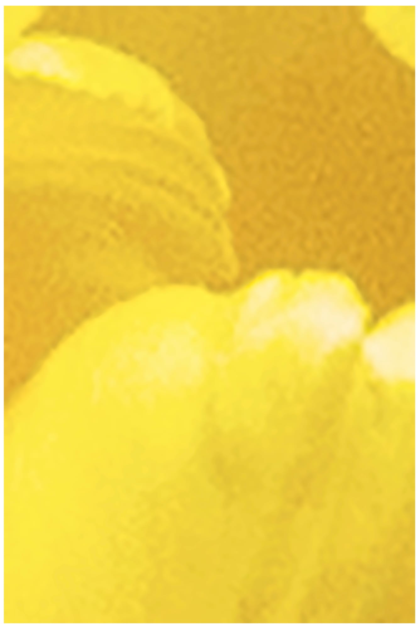 Gian Losinger, May You Bloom Eternally 3, 2023