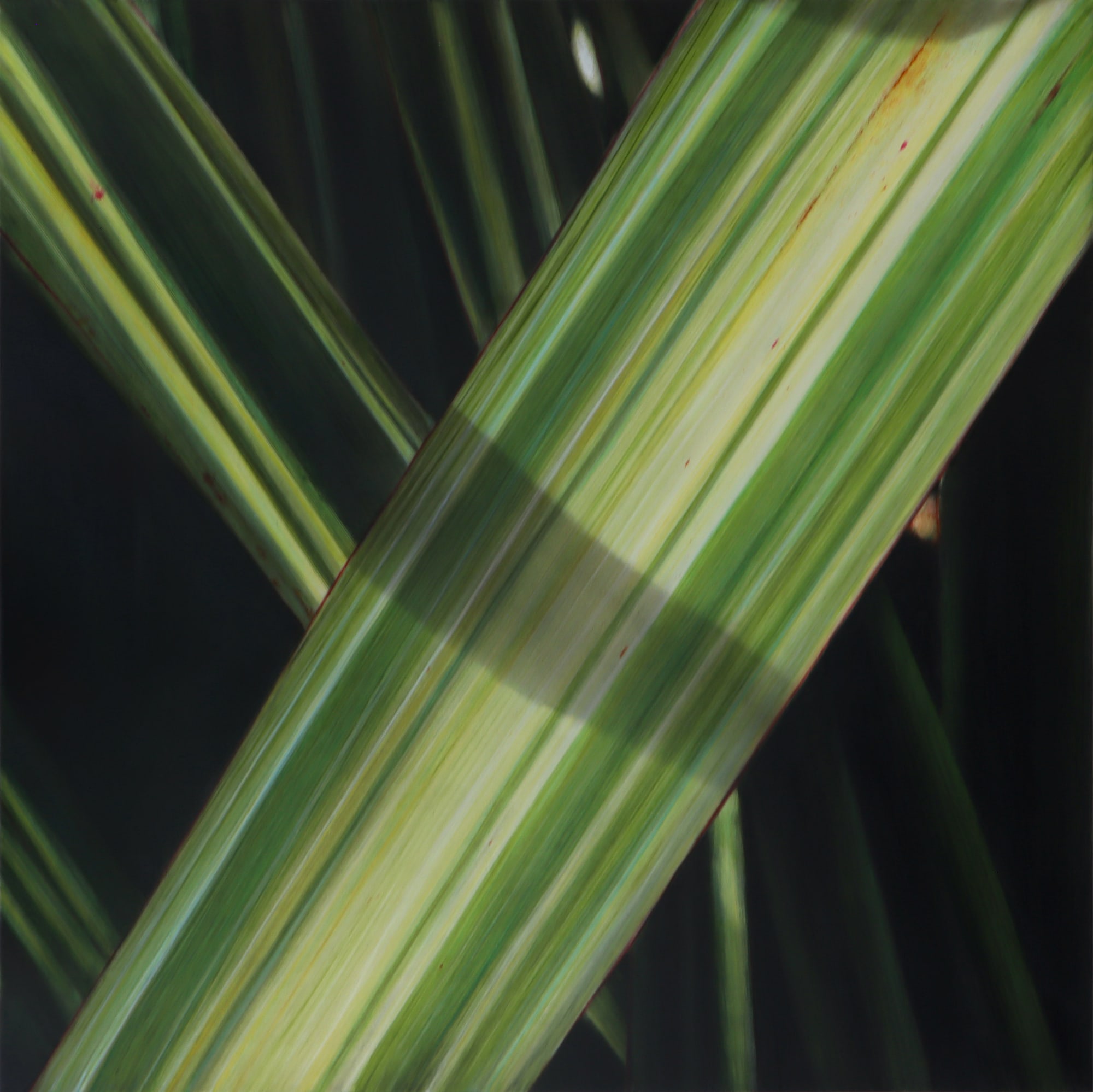 Neal Palmer, Composition 7