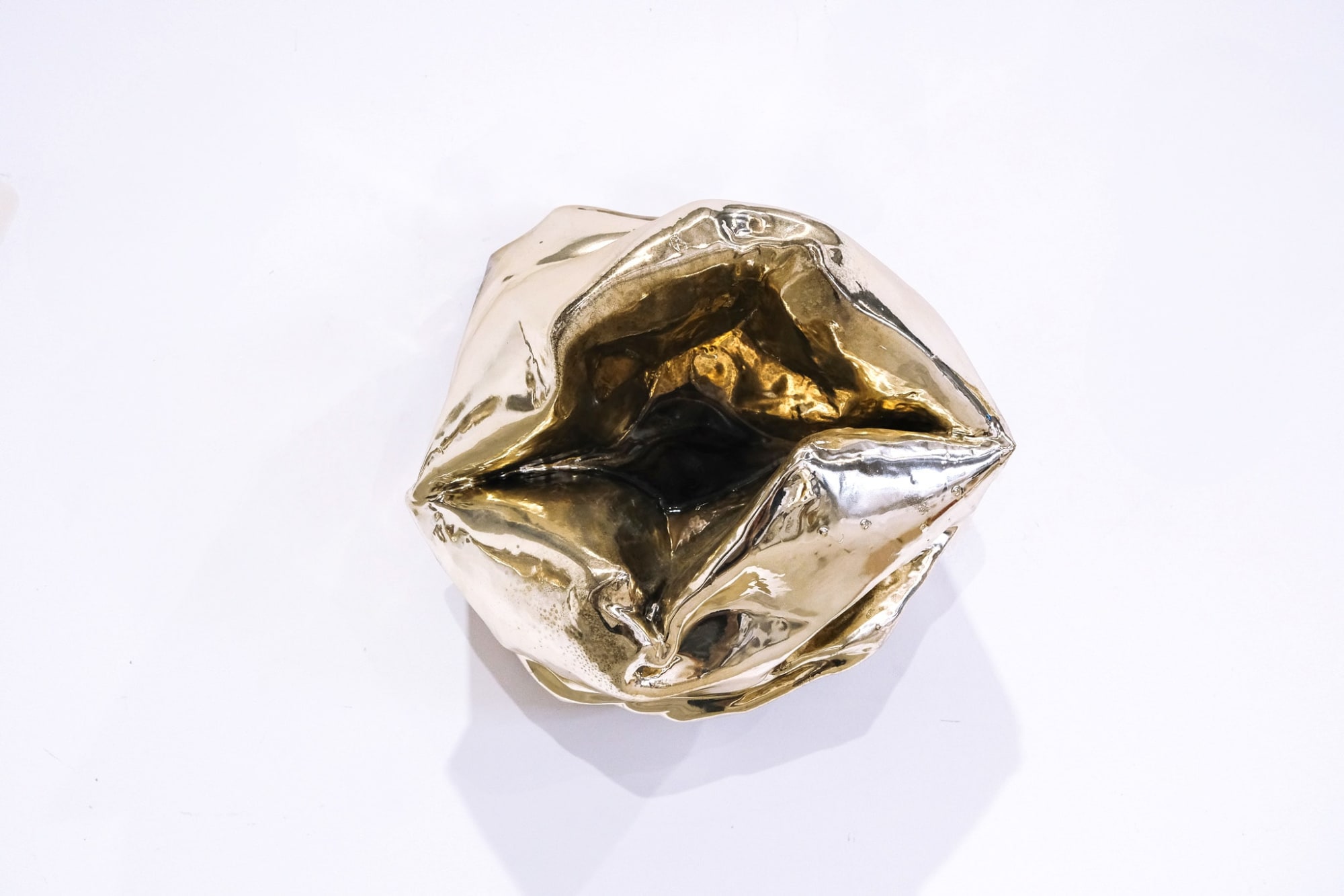 Monique Lacey, Sheeple, 2025