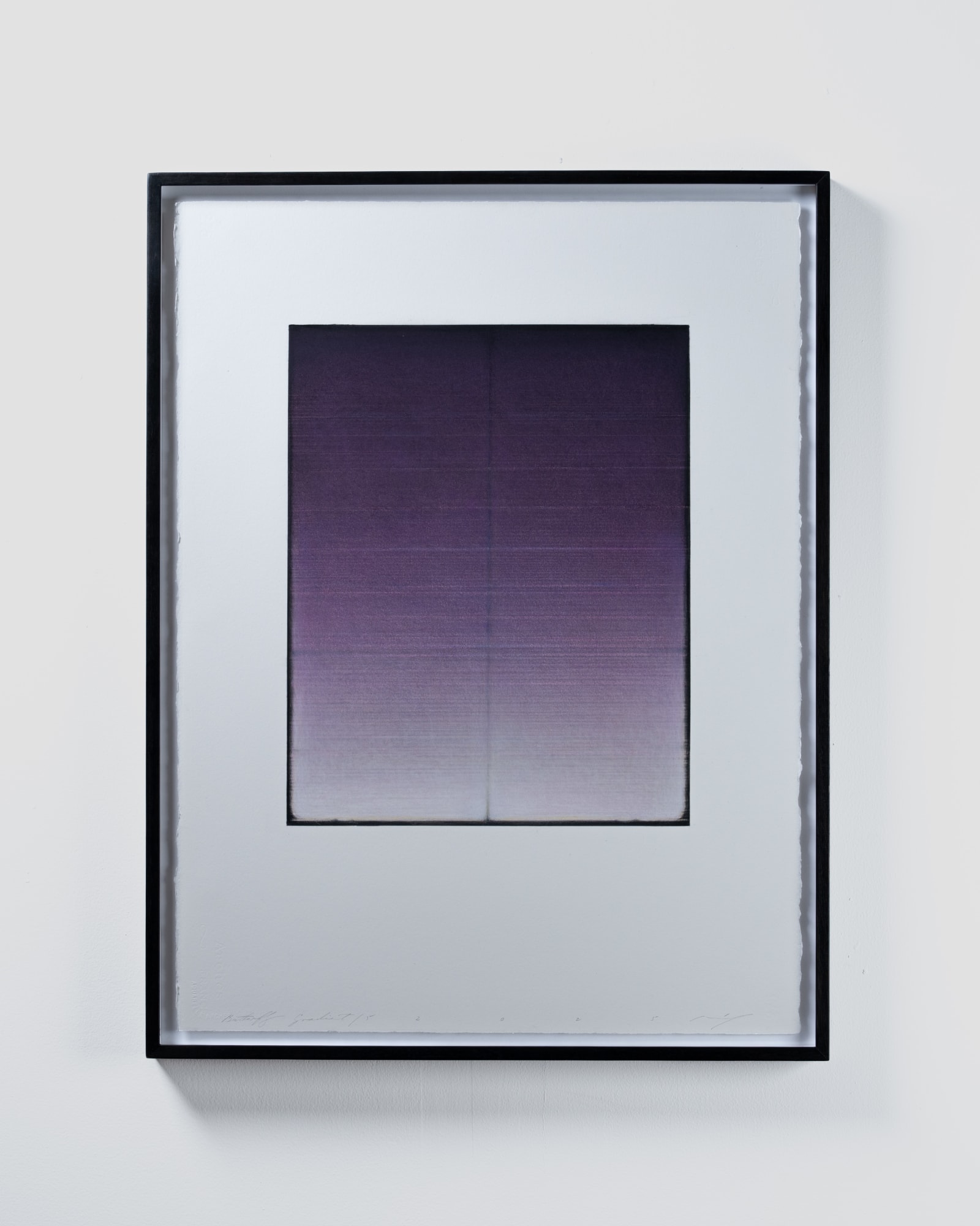 Michael Dell, Butterfly Gradient 5, 2025