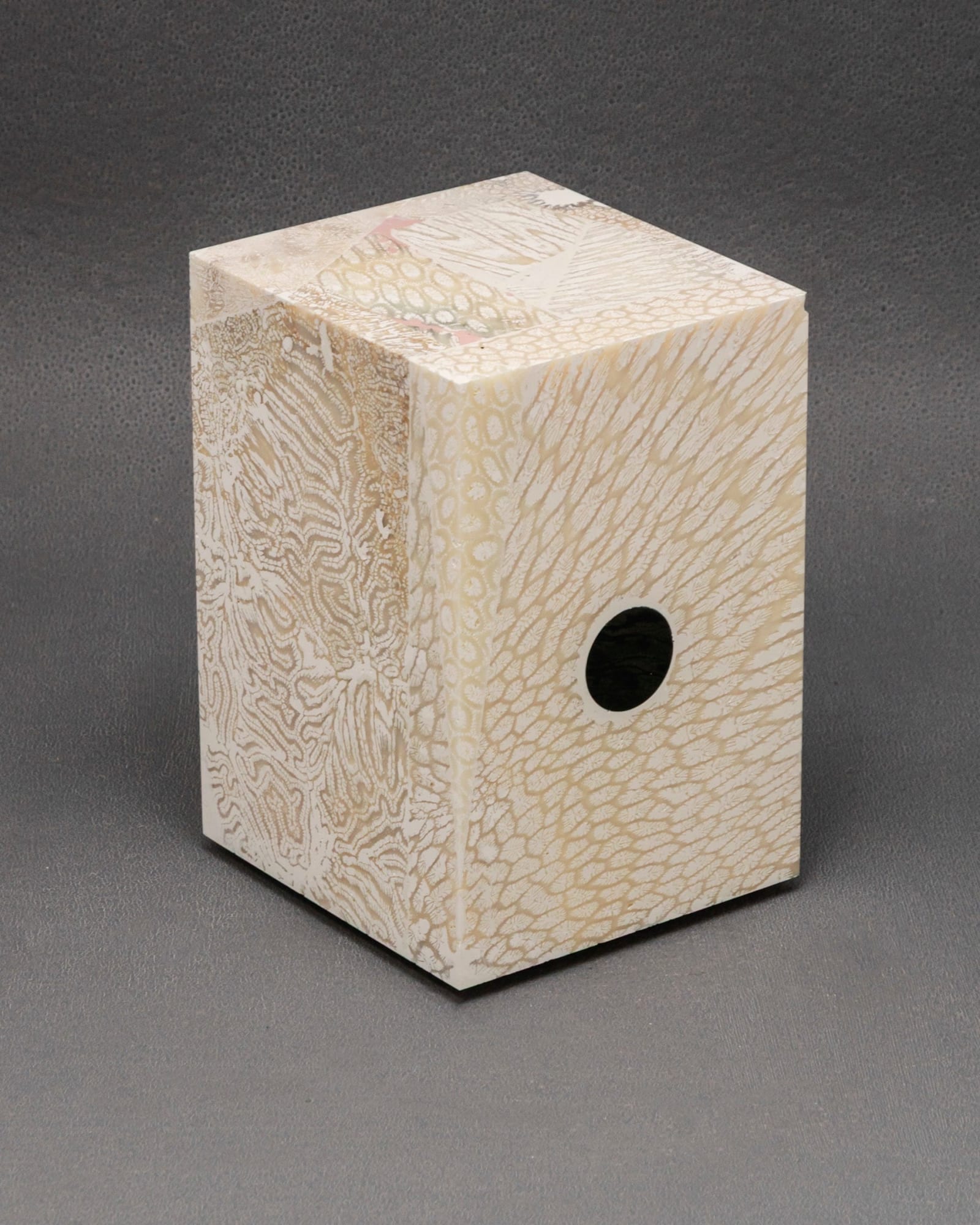 Chauncey Flay, Seawall 92, 2025