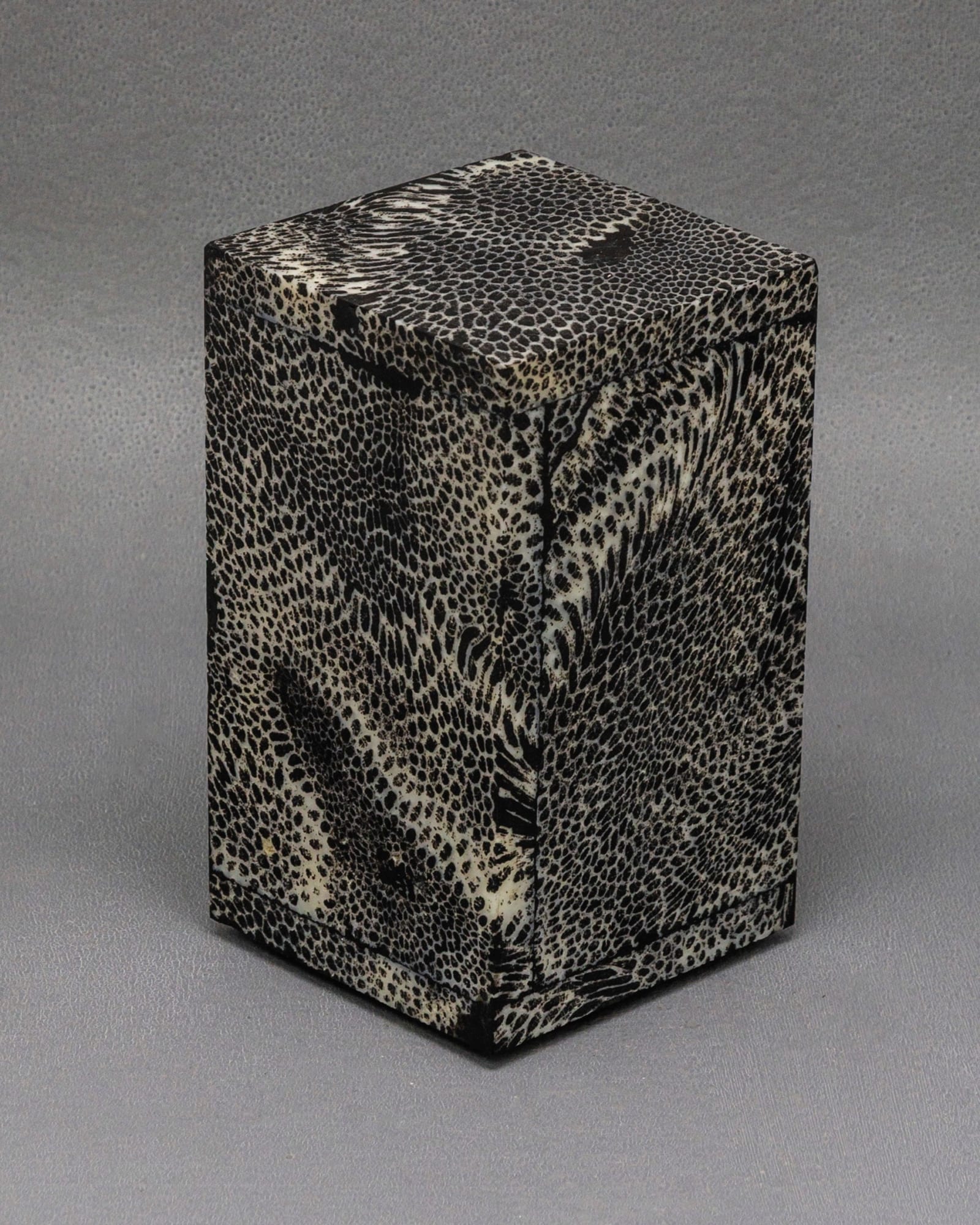 Chauncey Flay, Seawall 32, 2025