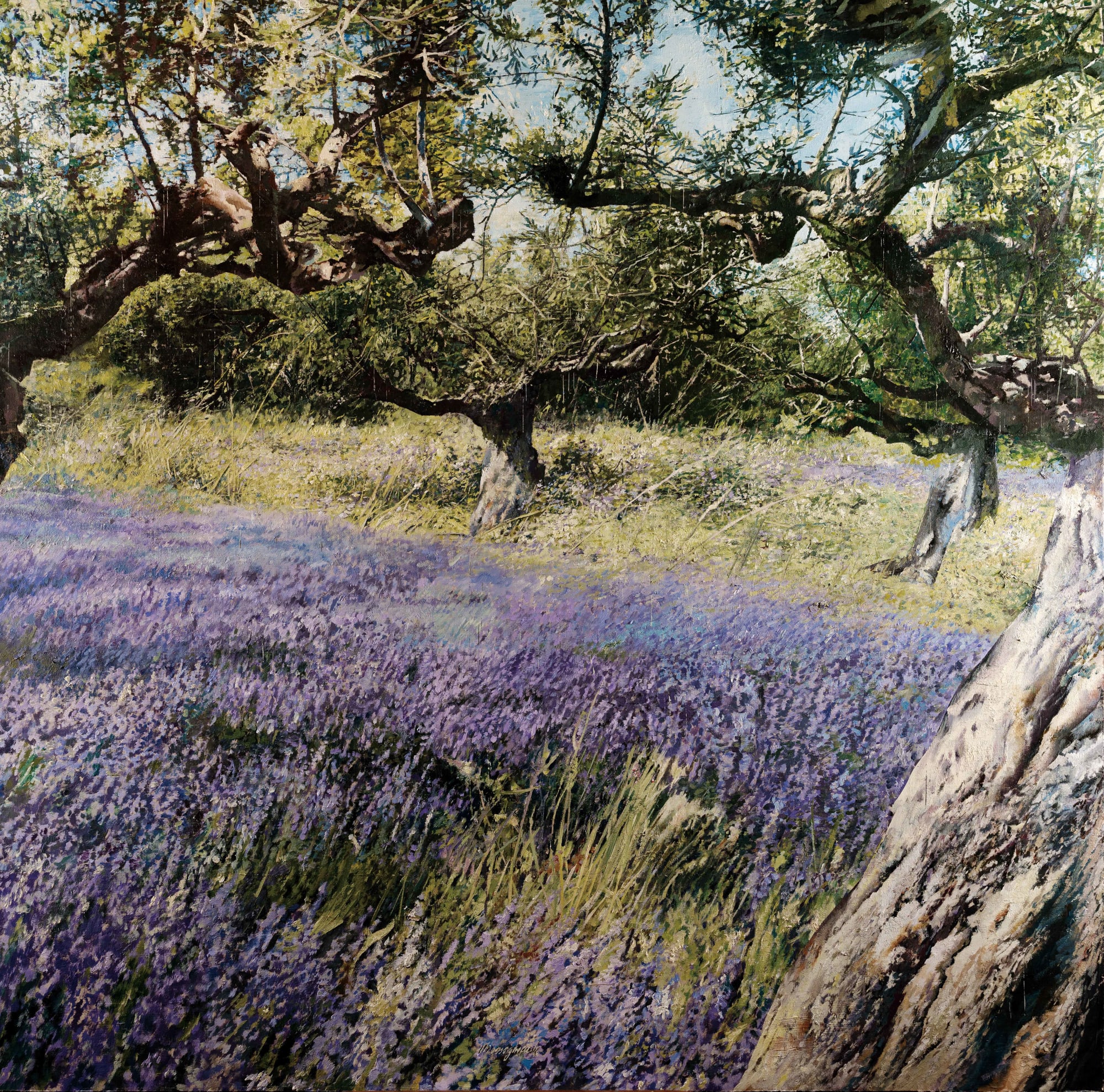 Matteo Massagrande, Ulivi, lavanda, timo, 2020