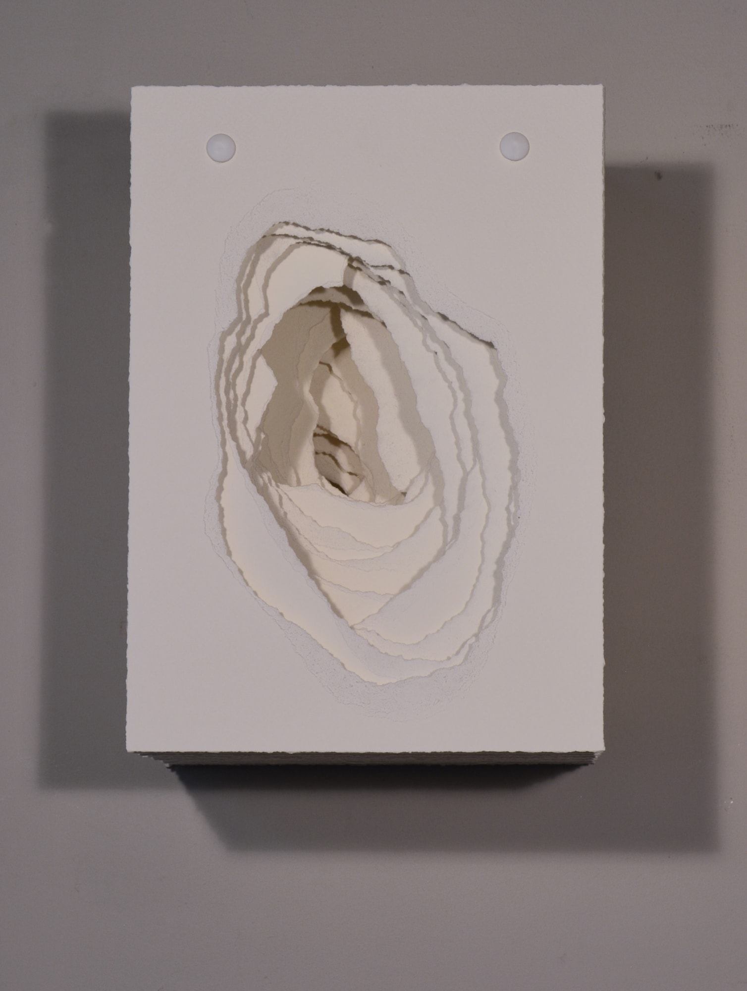 Angela Glajcar, 2015-029 Terforation, 2015