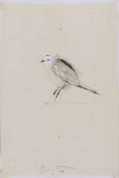 Rick Bartow, Untitled (Bird 11) HMB Series, 2007