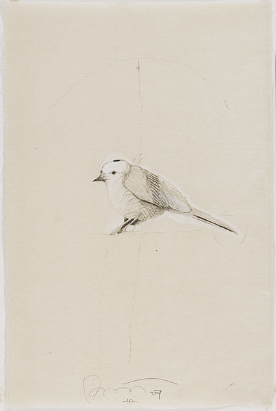 Rick Bartow, Untitled (Bird 7) HMB series, 2007