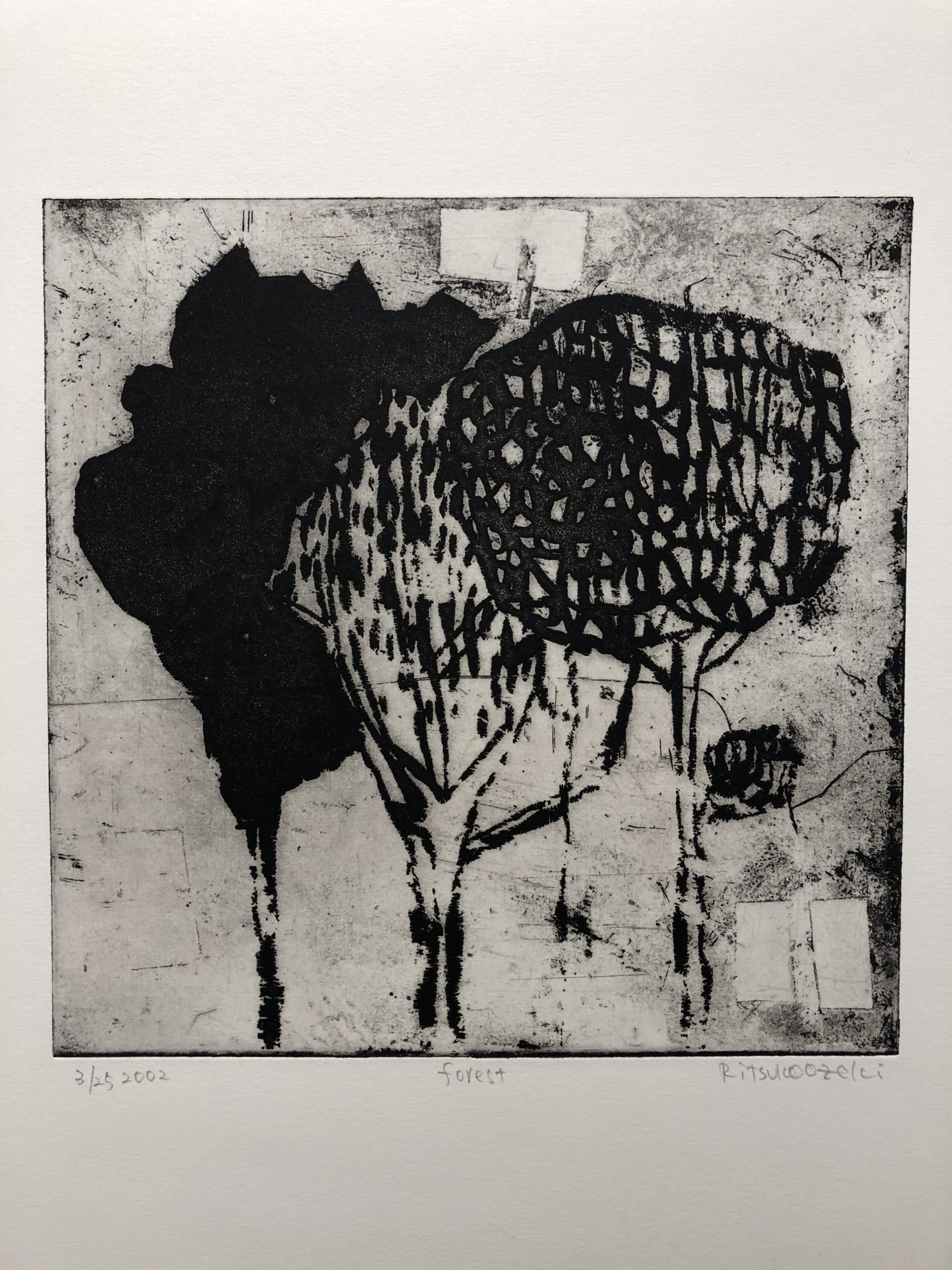 Ritsuko Ozeki, Forest, 2002