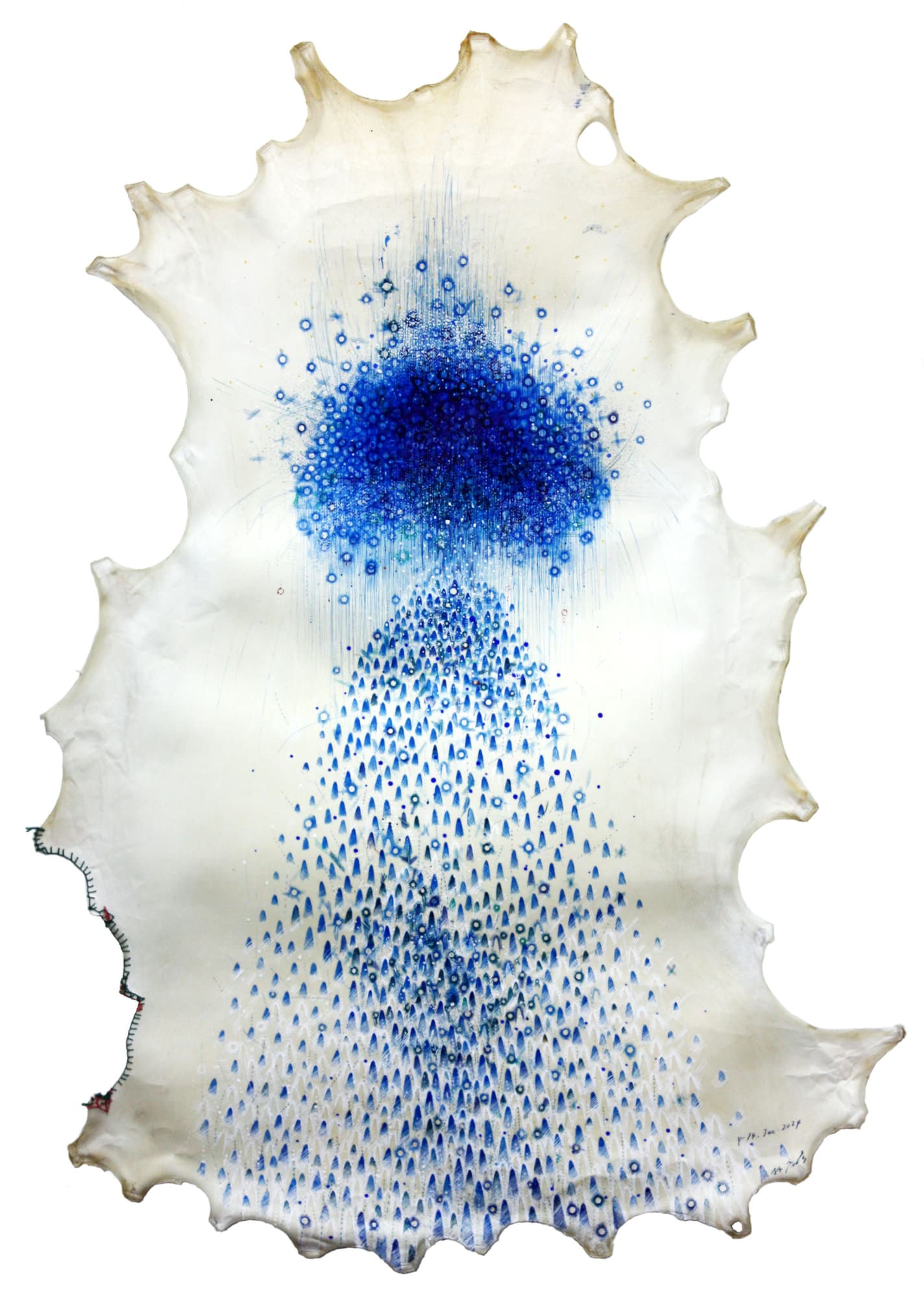 Takahiko Hayashi, P-14.Jan 2024, 2024