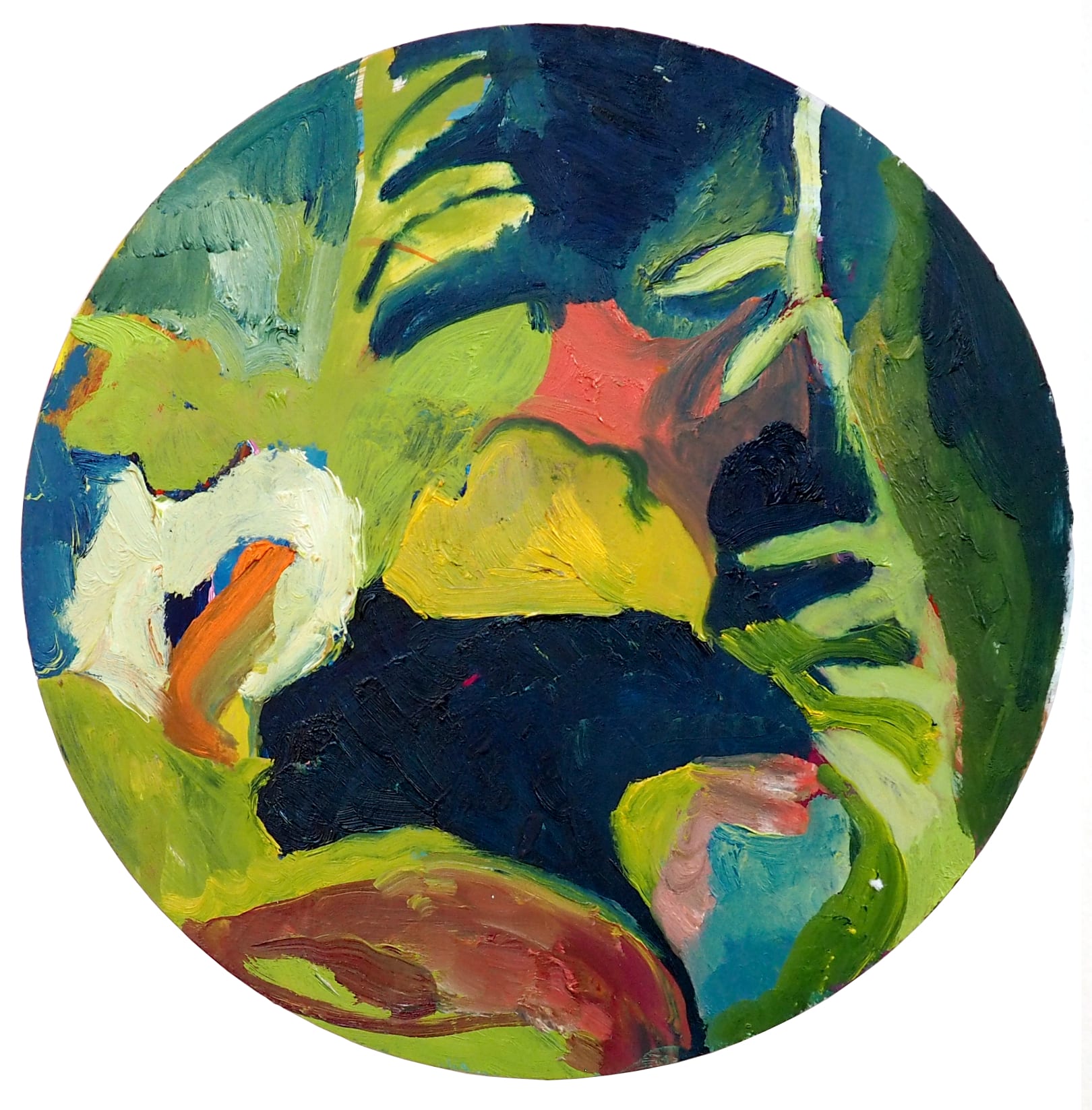 Emma Gerigscott, Plantitos, 2020