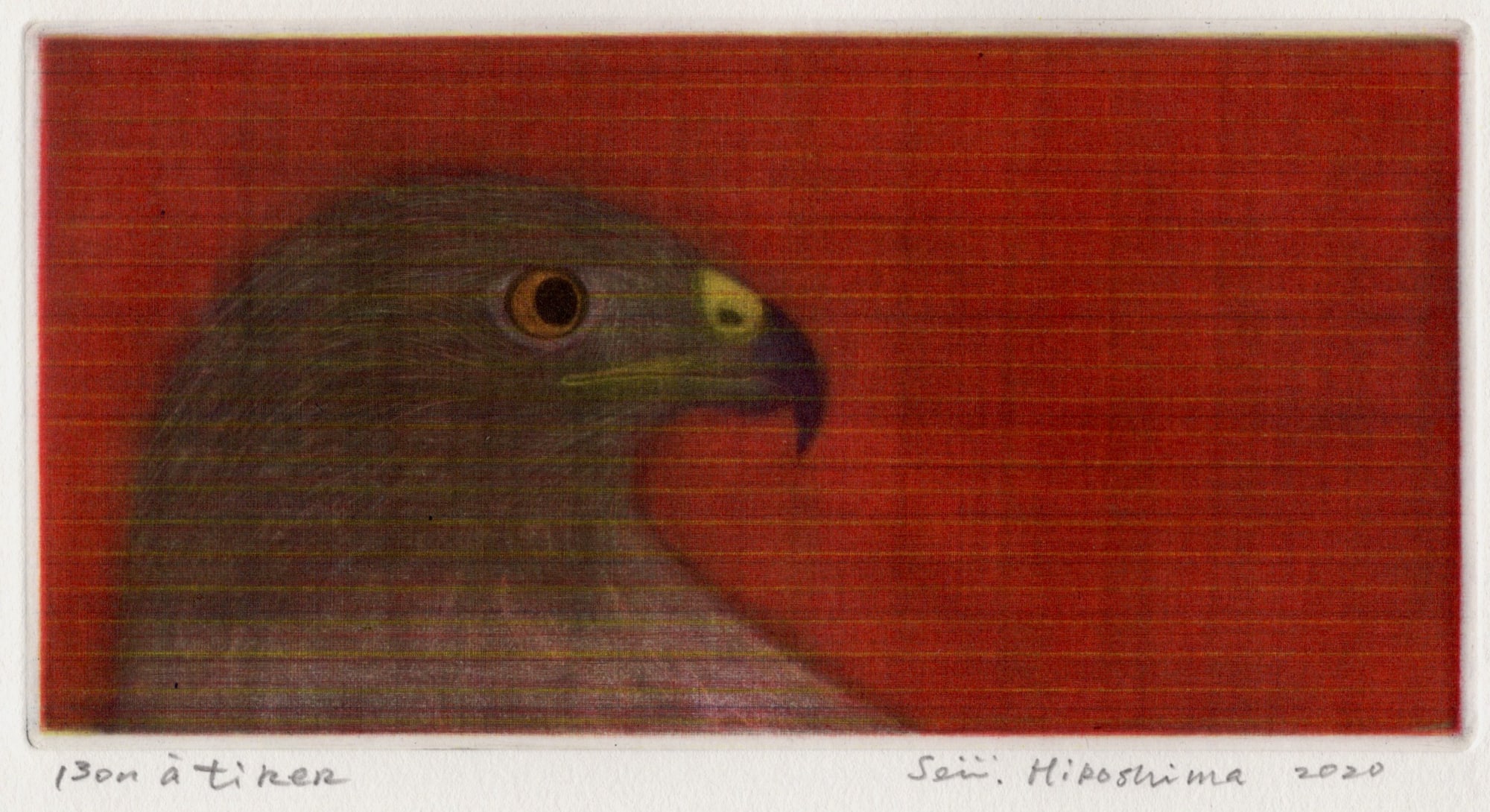 Seiichi Hiroshima, Hawk A Variation, 2020