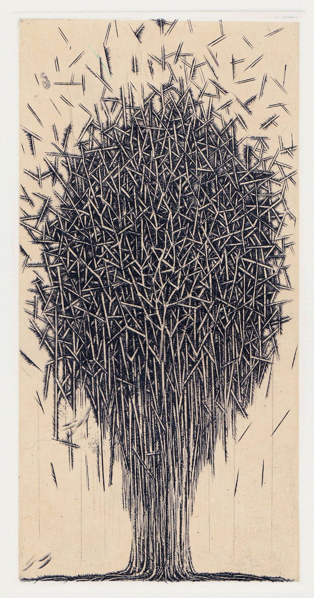 Takahiko Hayashi, Kijimuna, 2017