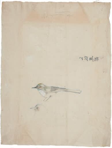 Rick Bartow, Early Morning Singer (Shinpukuji Portfolio), 2007