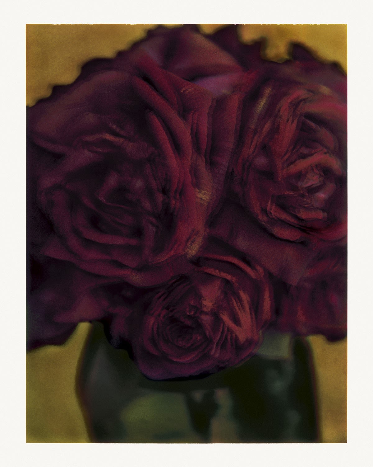 Sarah Moon, Les roses, 1998.