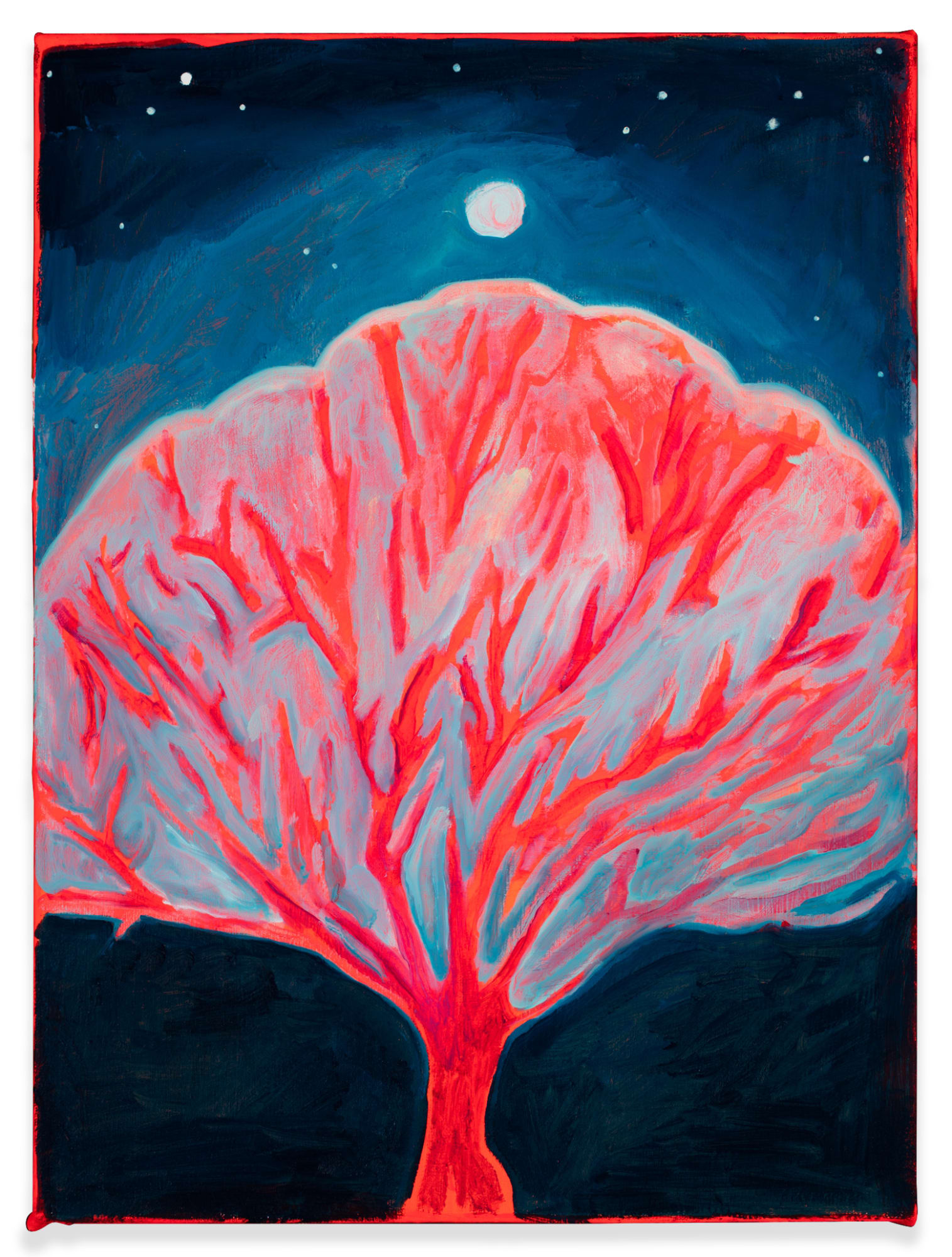 Danielle Winger, Bloom Shadowed, 2024