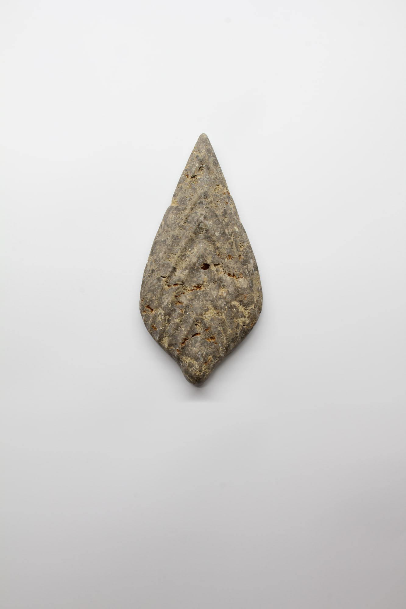 Paul Diestel, Neoflabellina II, 2025