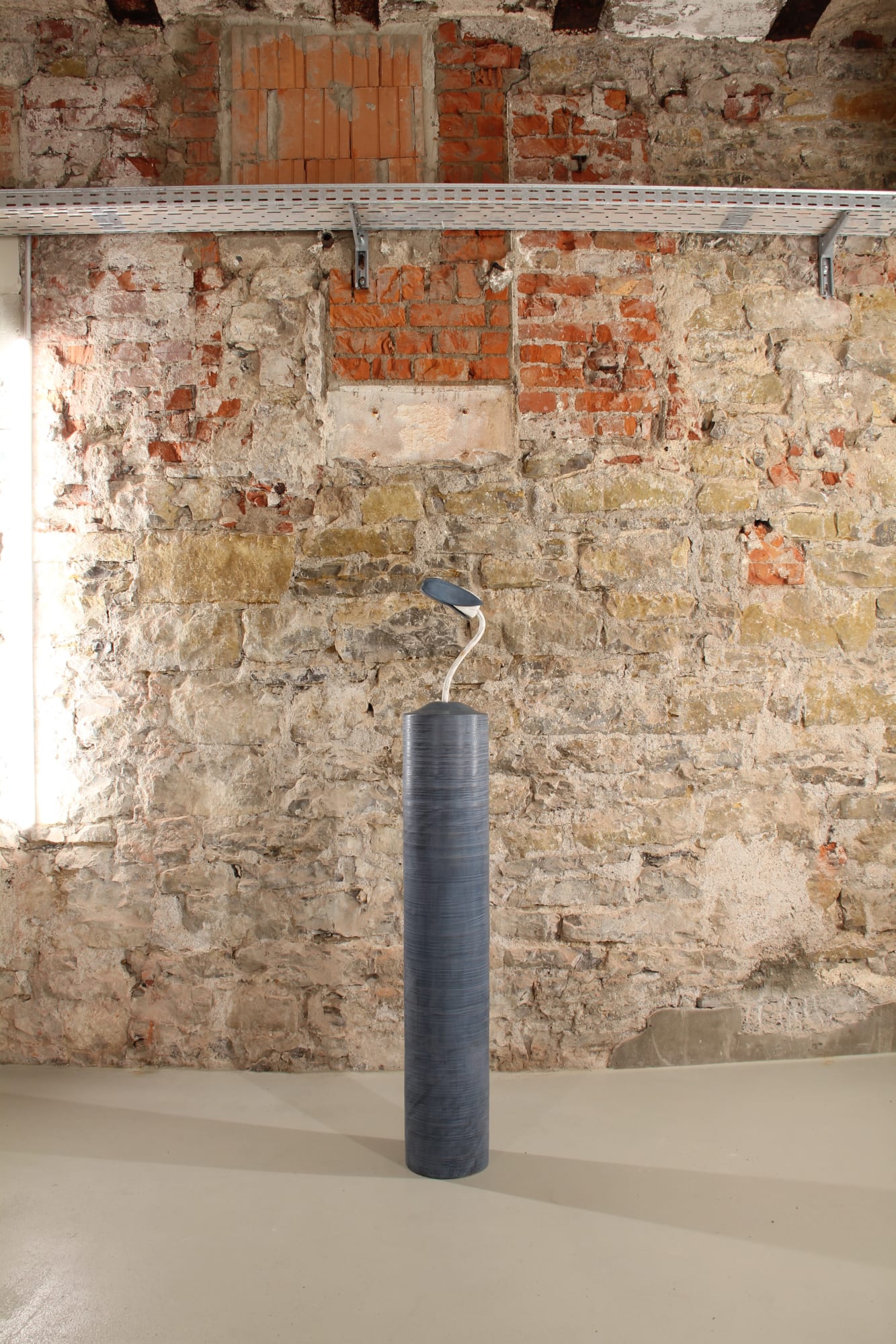 Paul Diestel, Buchenkeimling, 2024