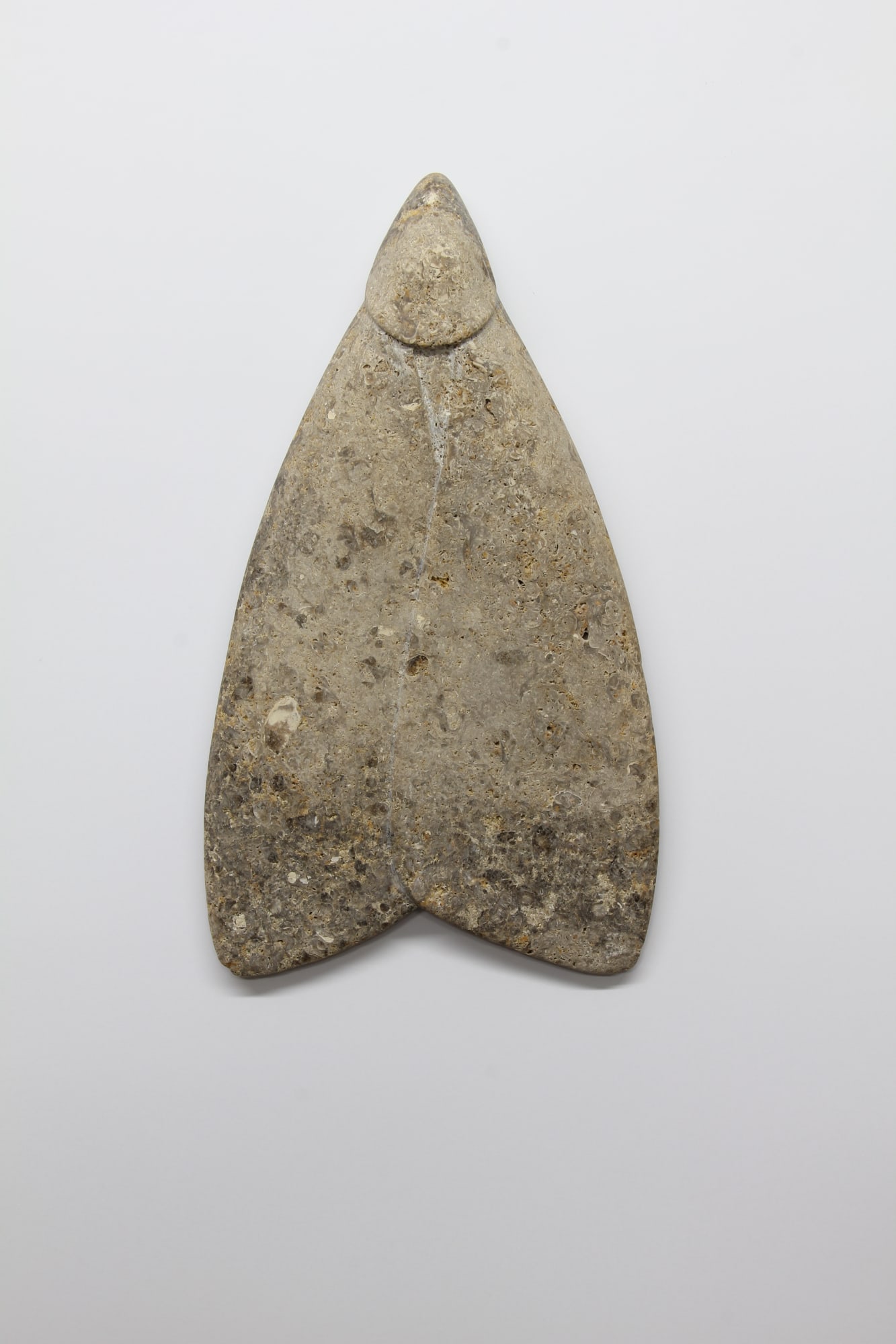 Paul Diestel, Falter, 2025