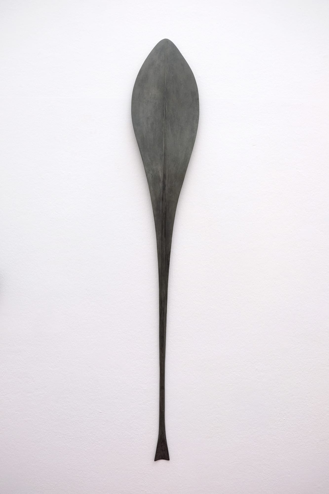 Paul Diestel, Taraxacum (Löwenzahn), 2018