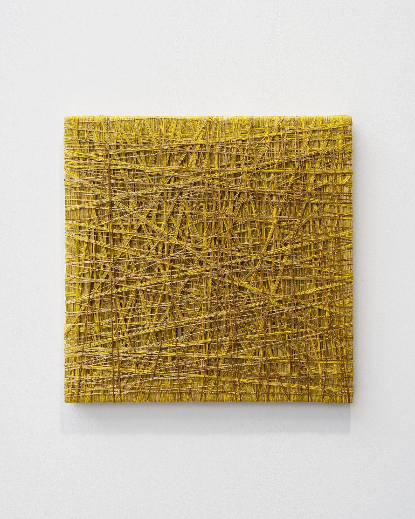 Sheila Hicks, Democracy Prevails, 2024