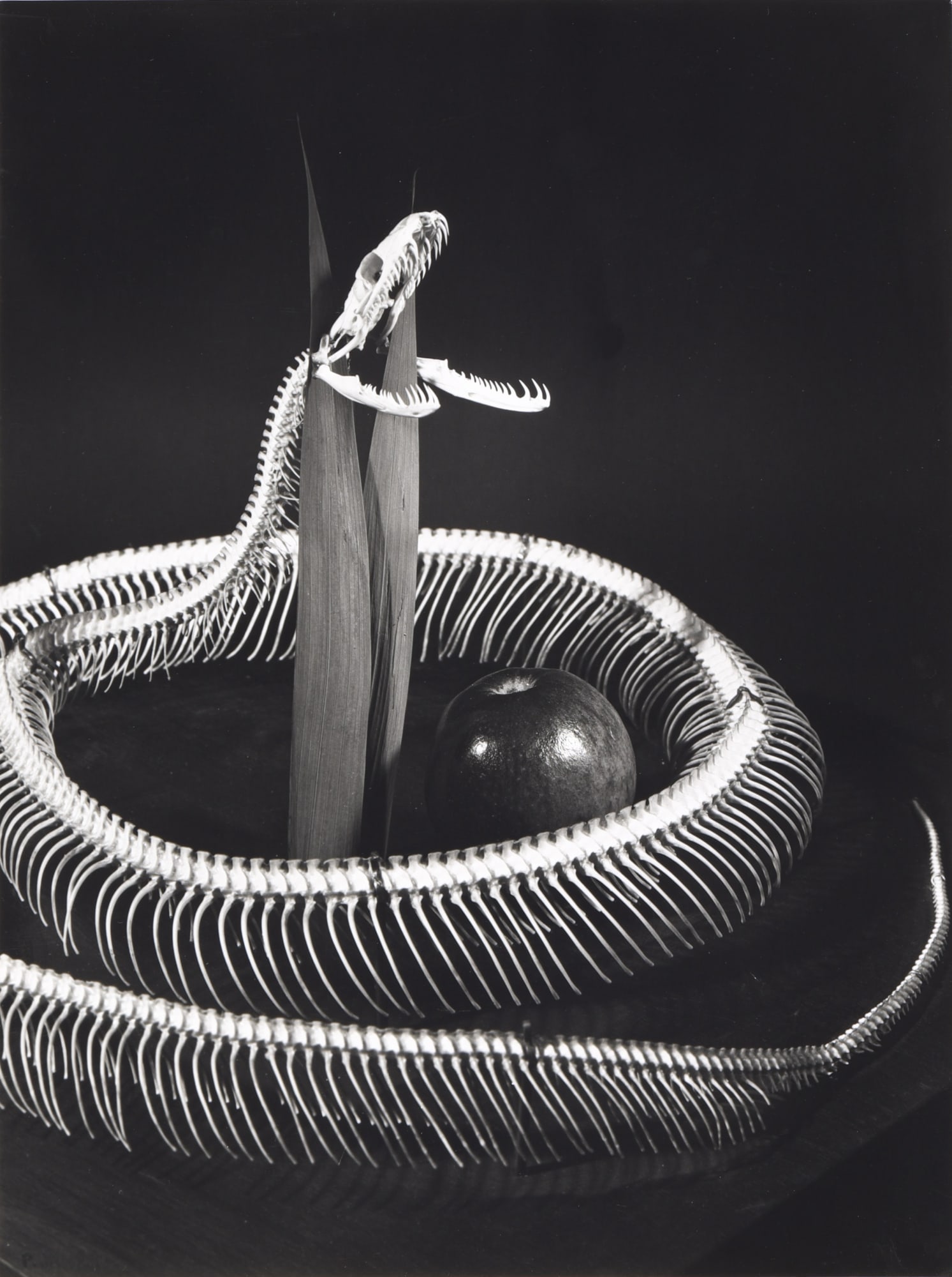 Pierre Jahan , Comme dans la Bible, 1945