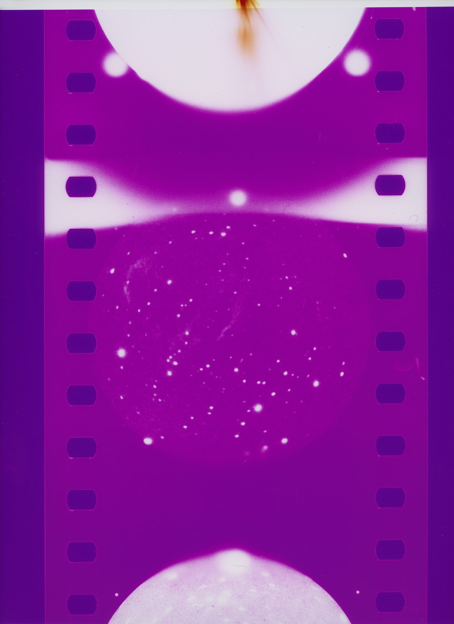 CAROLINE CORBASSON, Pollen, 2020