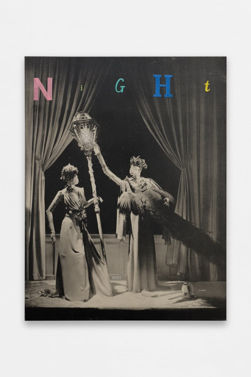 Rob Wynne, NIGHT VISIT, 2008