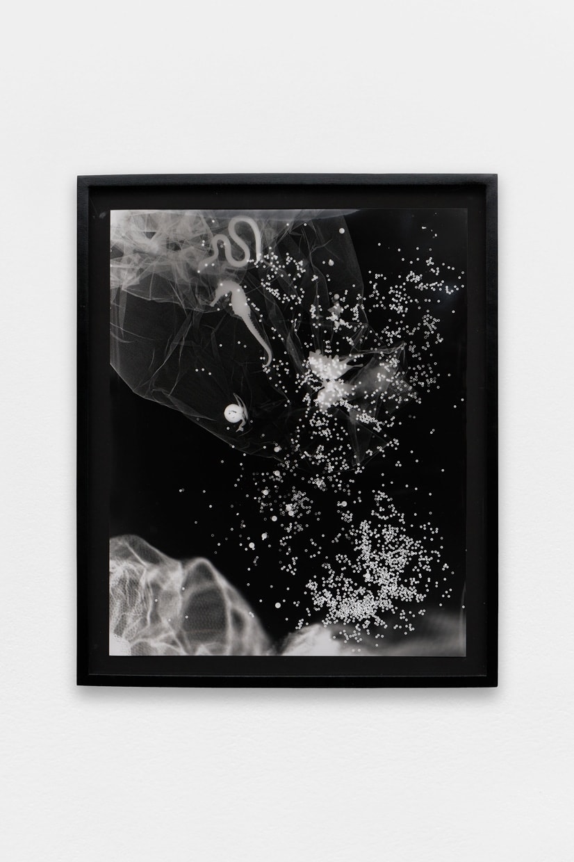 Rob Wynne, INVISIBLE LIFE 24, 2005