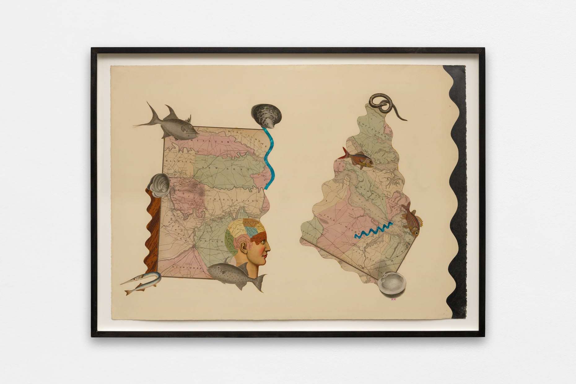 Rob Wynne, EDGE, 1979