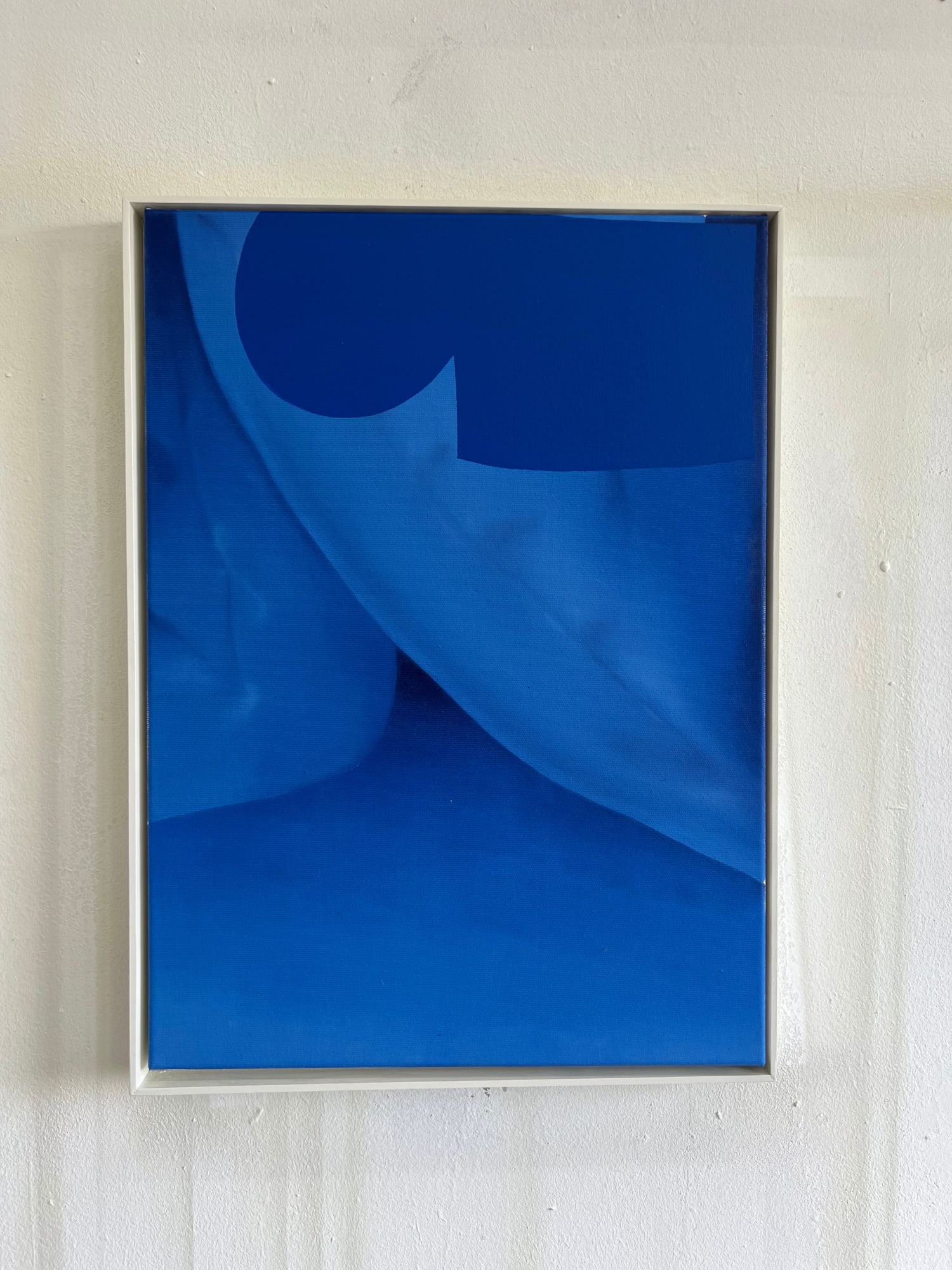 Enrico Bach, S.B.B., 2024